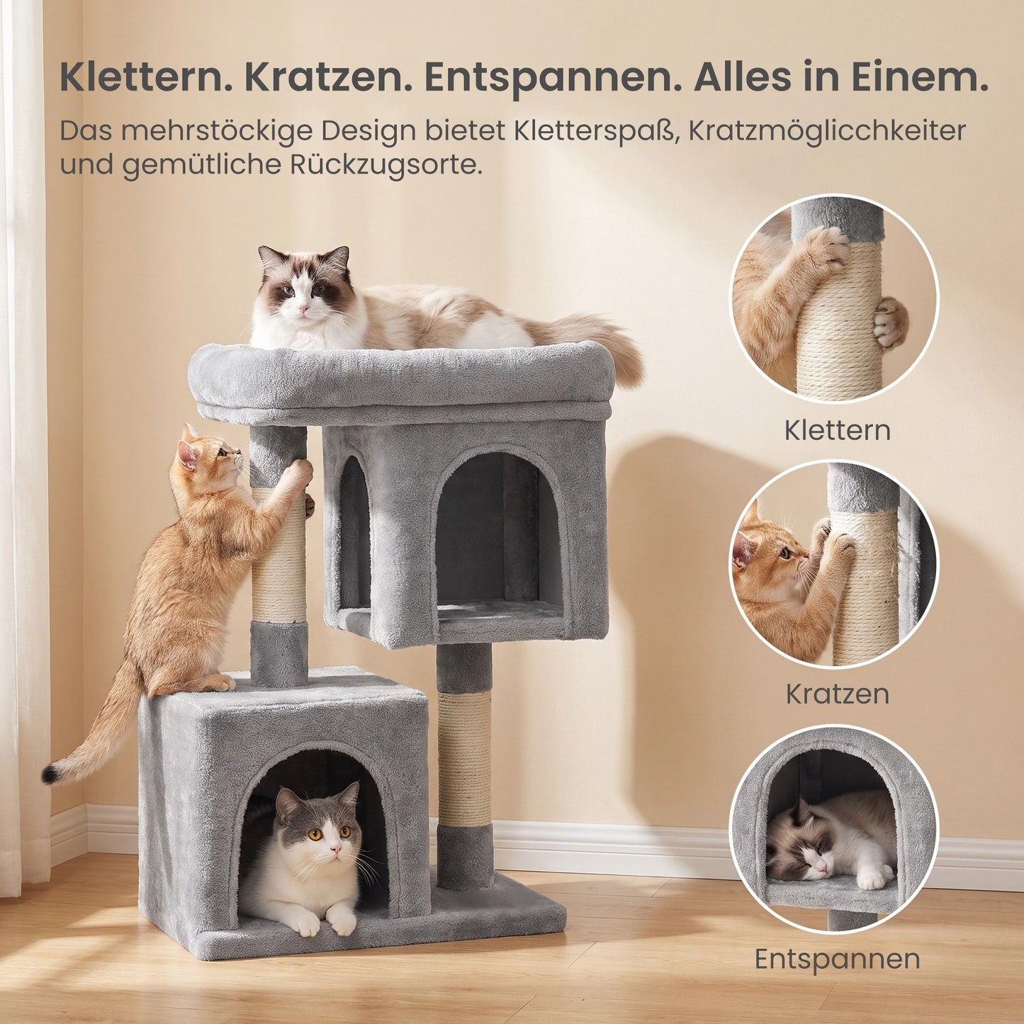 Compacte Krabpaal M Met Plattform En 2 Holen - Lage Hoogte - Voor Kittens En Senioren