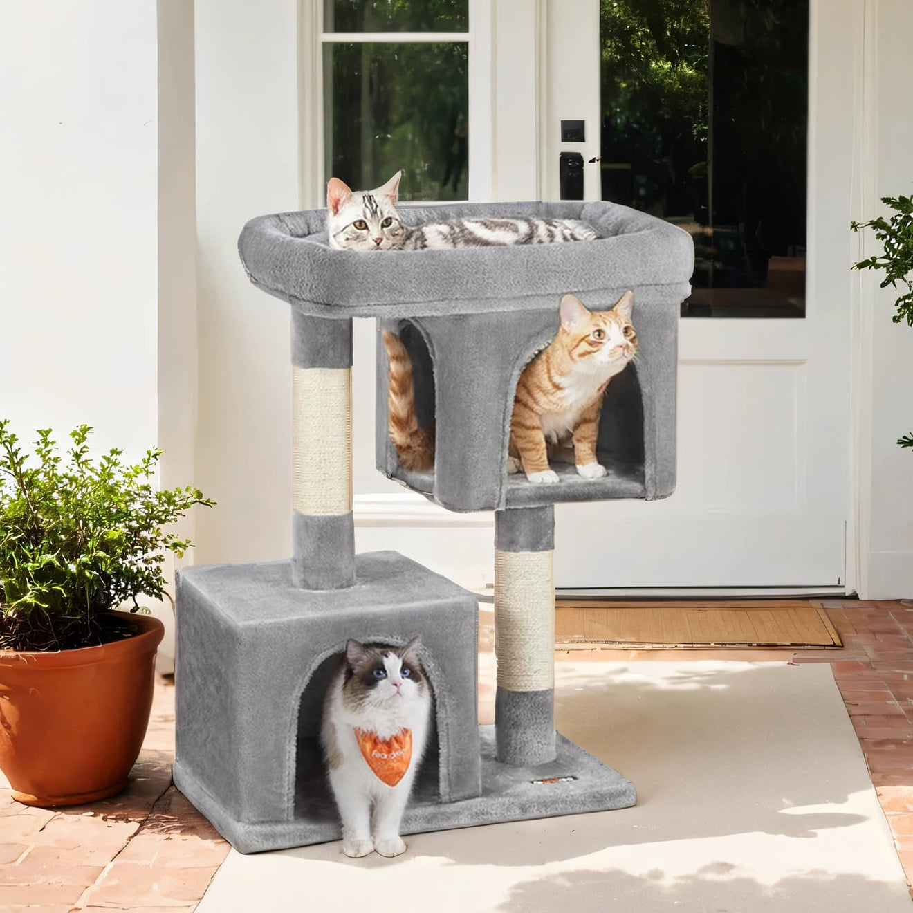 Krabpaal L Met Grote Plattform En 2 Kattenholen - Deurtje Onderin - Sisalstammen