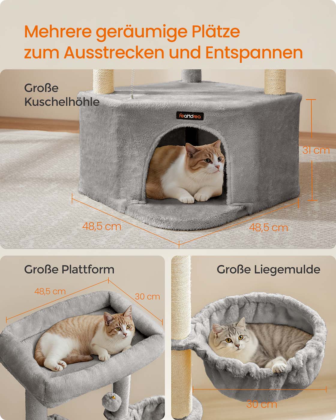 Krabpaal met groot kattenhol