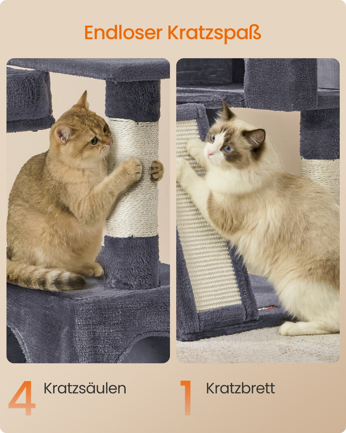 Krabpaal Met Klimrampen - Voor Kittens Tot Senioren - Meerdere Etages