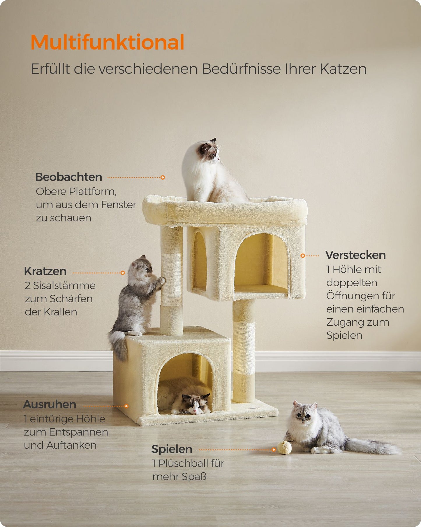 Krabpaal XL Met Grote Plattform En 2 Kattenholen - Lage Instap - Voor Jong En Oud
