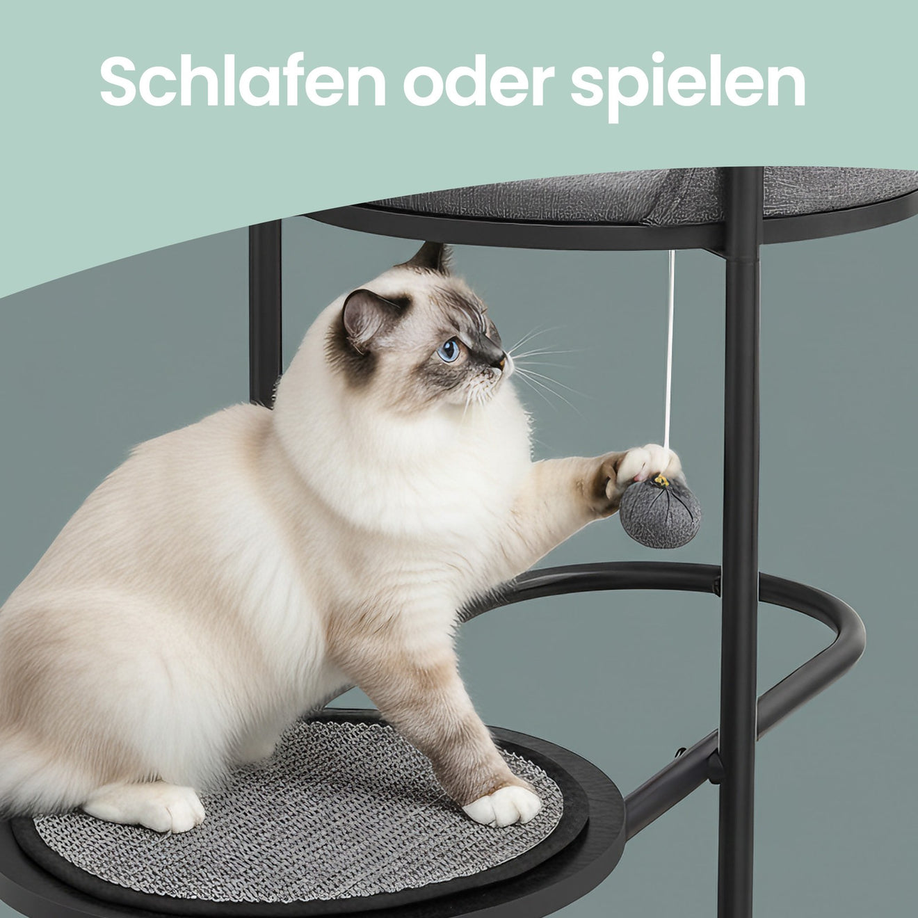 Moderne Krabpaal Met Stalen Frame - Royale Ligvlakken - Strak Zwart Design