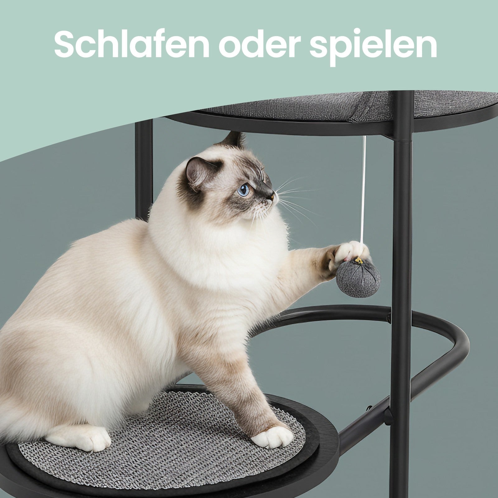 Moderne Krabpaal Met Stalen Frame - Royale Ligvlakken - Strak Zwart Design