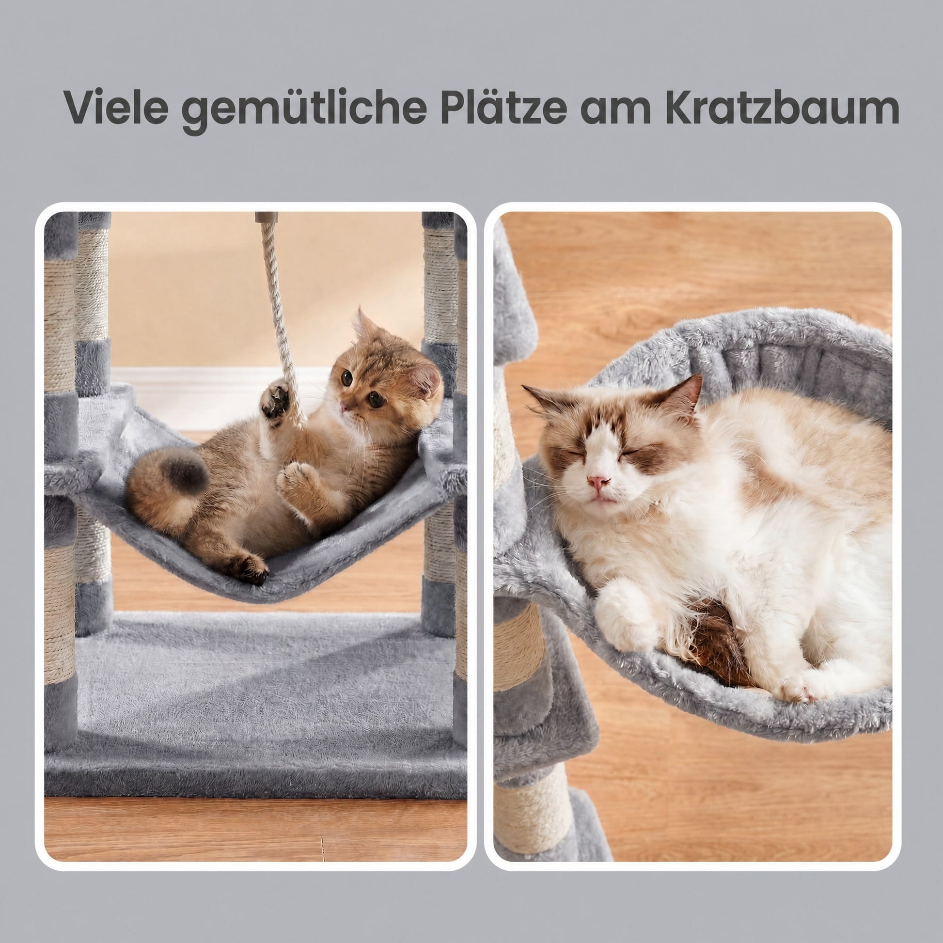 Krabpaal Met 13 Krabzuilen En Krabramp - Twee Ruime Platforms - Voor Klimprofs