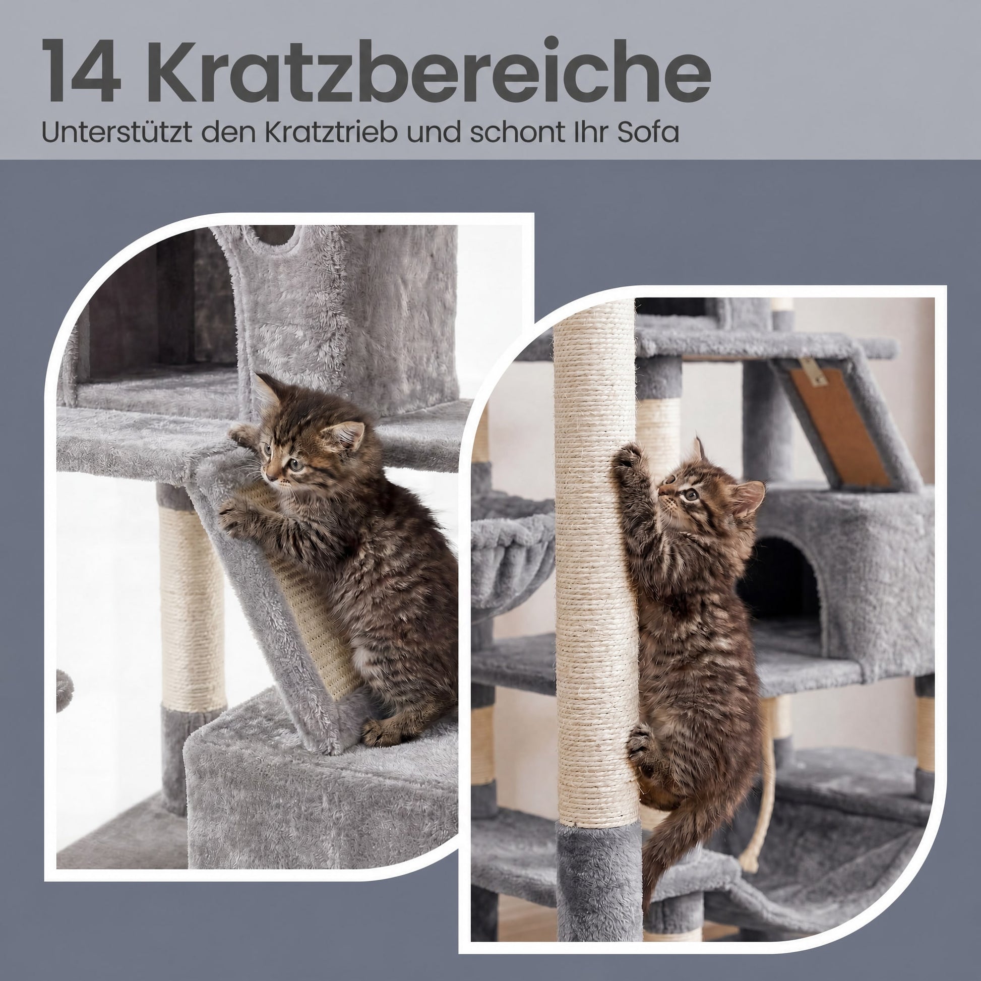 Krabpaal Met 13 Krabzuilen En Krabramp - Twee Ruime Platforms - Voor Klimprofs