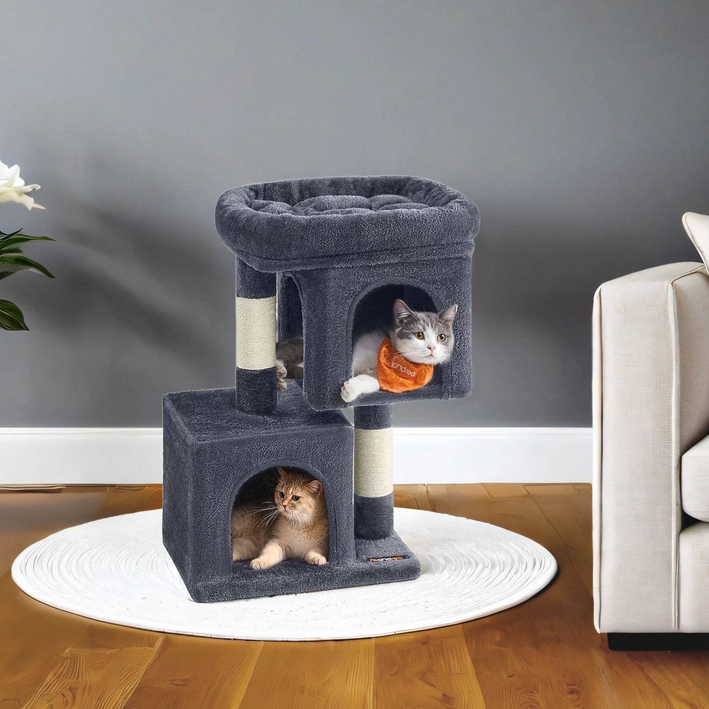Kleine Krabpaal Met Kattenhol - Laag Instapmodel - Voor Kittens En Senioren