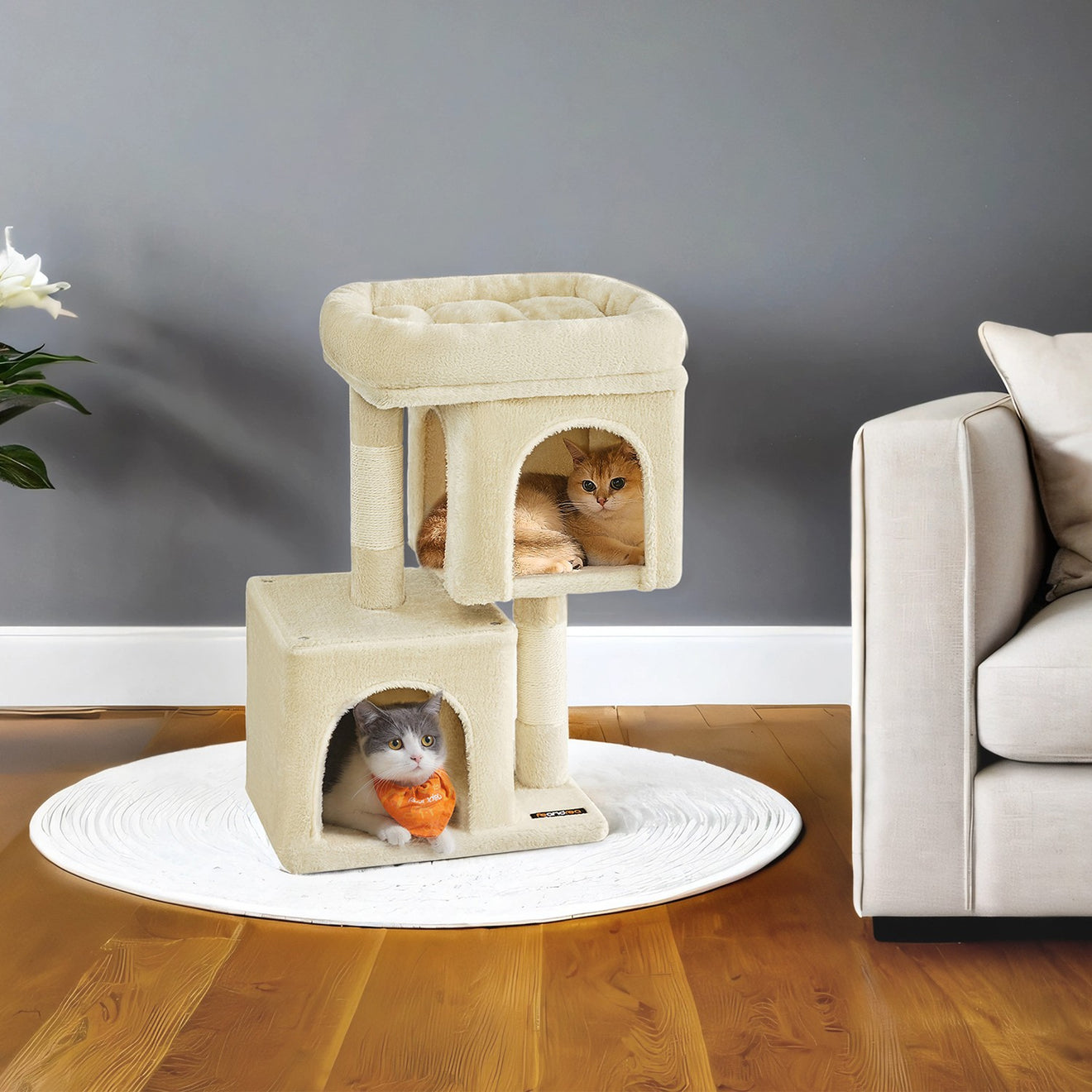 Kleine Krabpaal Met Kattenhol - Laag Instapmodel - Voor Kittens En Senioren