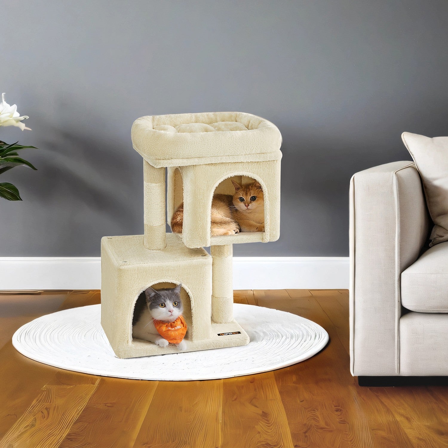 Kleine Krabpaal Met Kattenhol - Laag Instapmodel - Voor Kittens En Senioren