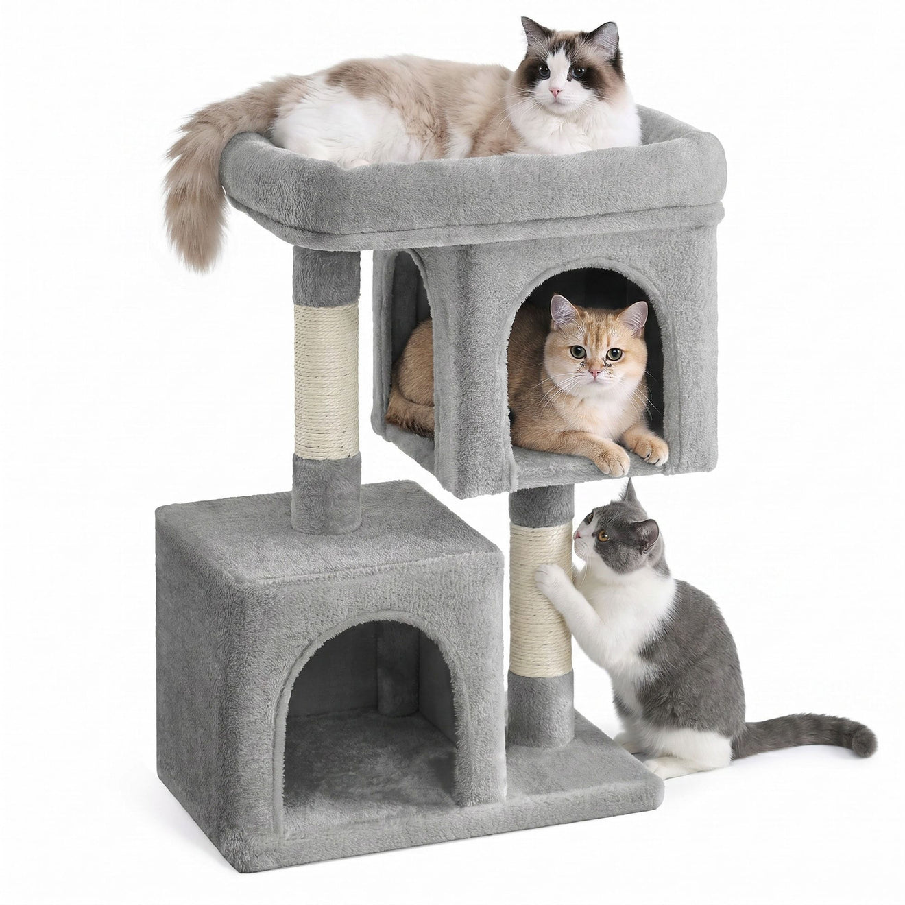 Compacte Krabpaal M Met Plattform En 2 Holen - Lage Hoogte - Voor Kittens En Senioren