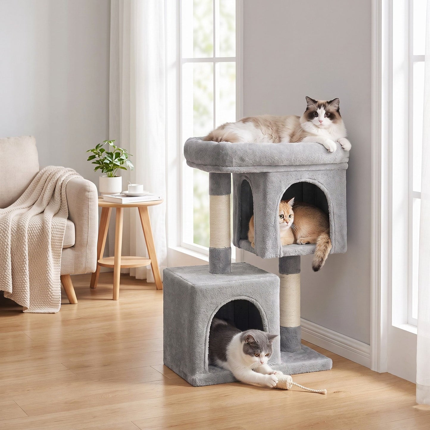 Compacte Krabpaal M Met Plattform En 2 Holen - Lage Hoogte - Voor Kittens En Senioren