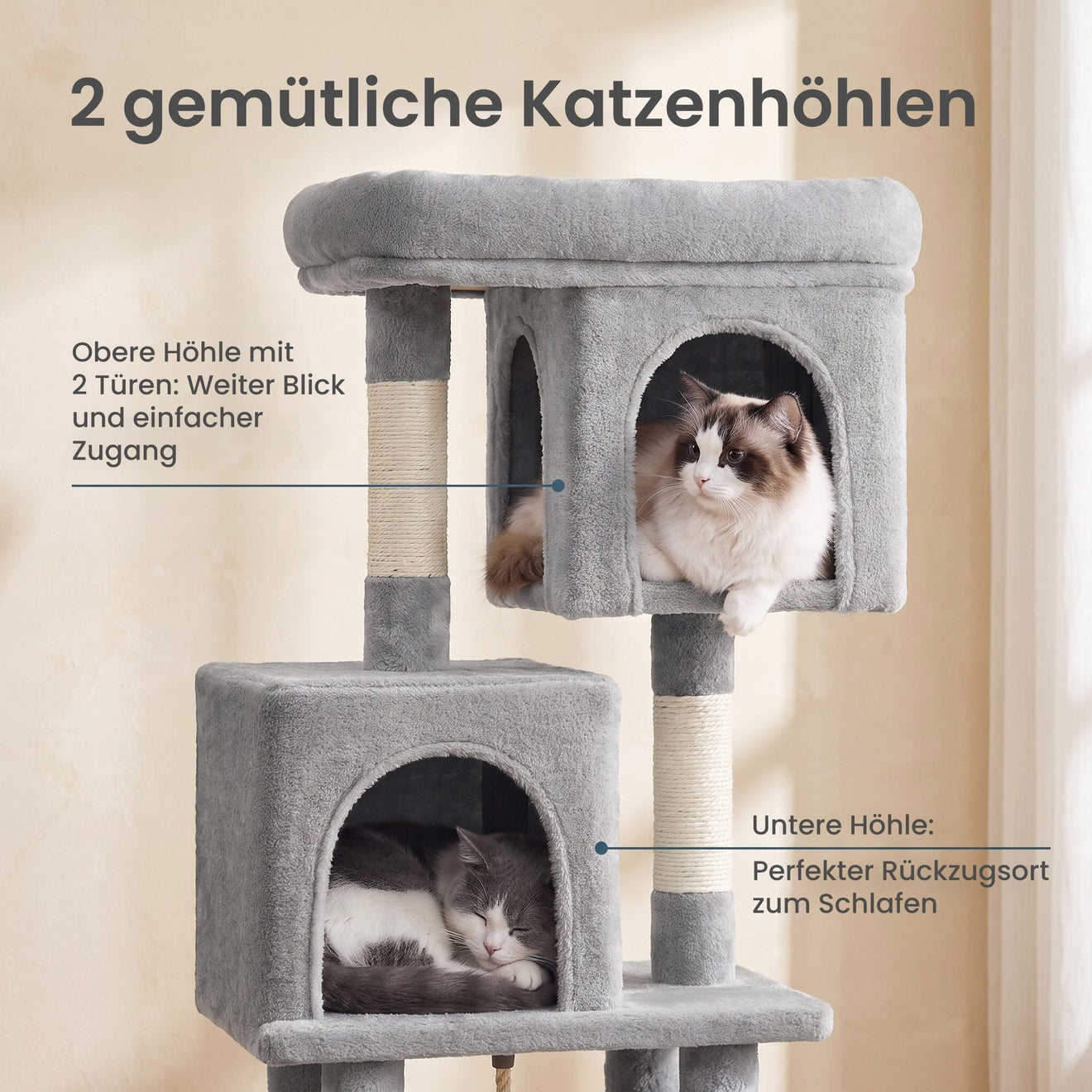 Compacte Krabpaal M Met Plattform En 2 Holen - Lage Hoogte - Voor Kittens En Senioren