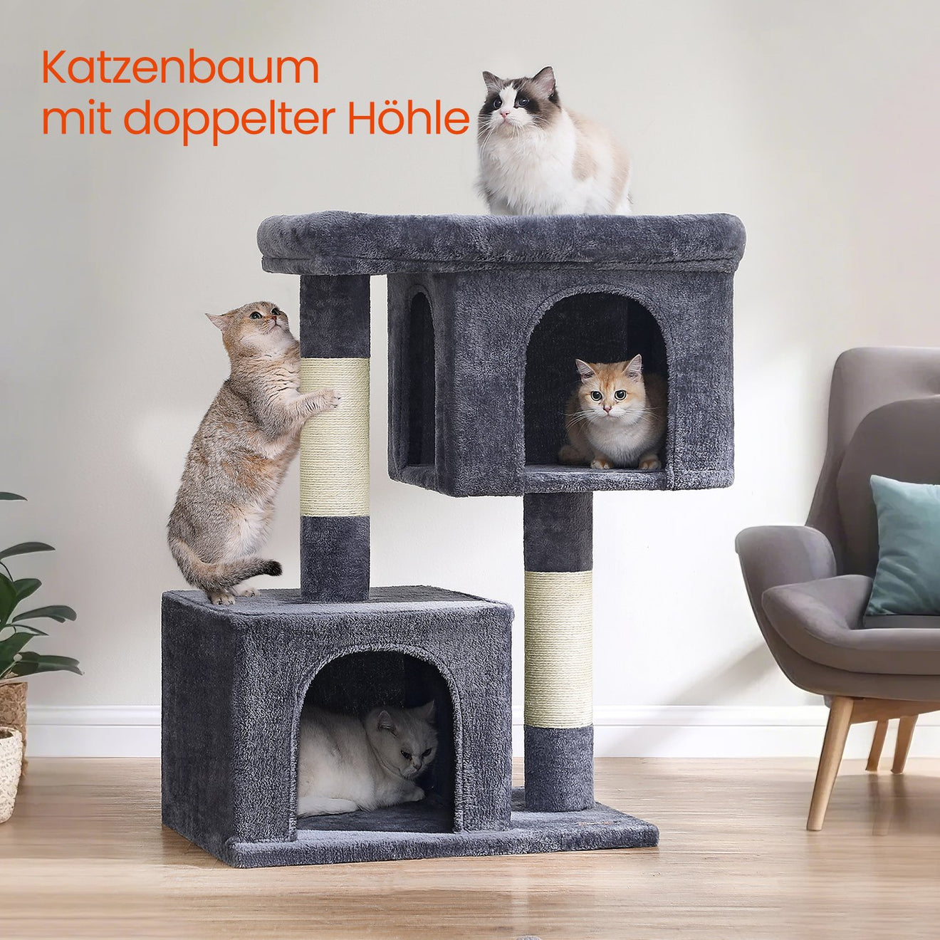 Krabpaal XL Met Grote Plattform En 2 Kattenholen - Lage Instap - Voor Jong En Oud