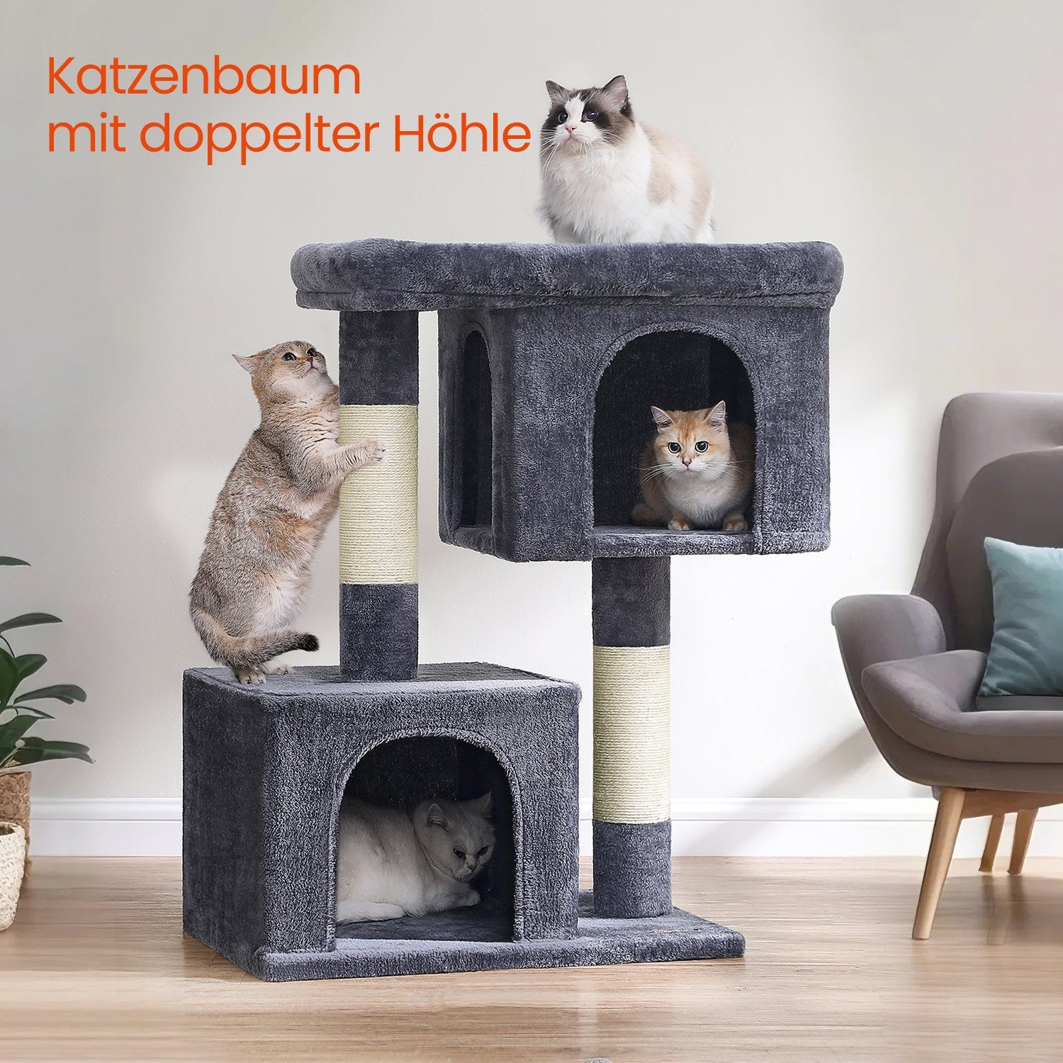Krabpaal XL Met Grote Plattform En 2 Kattenholen - Lage Instap - Voor Jong En Oud