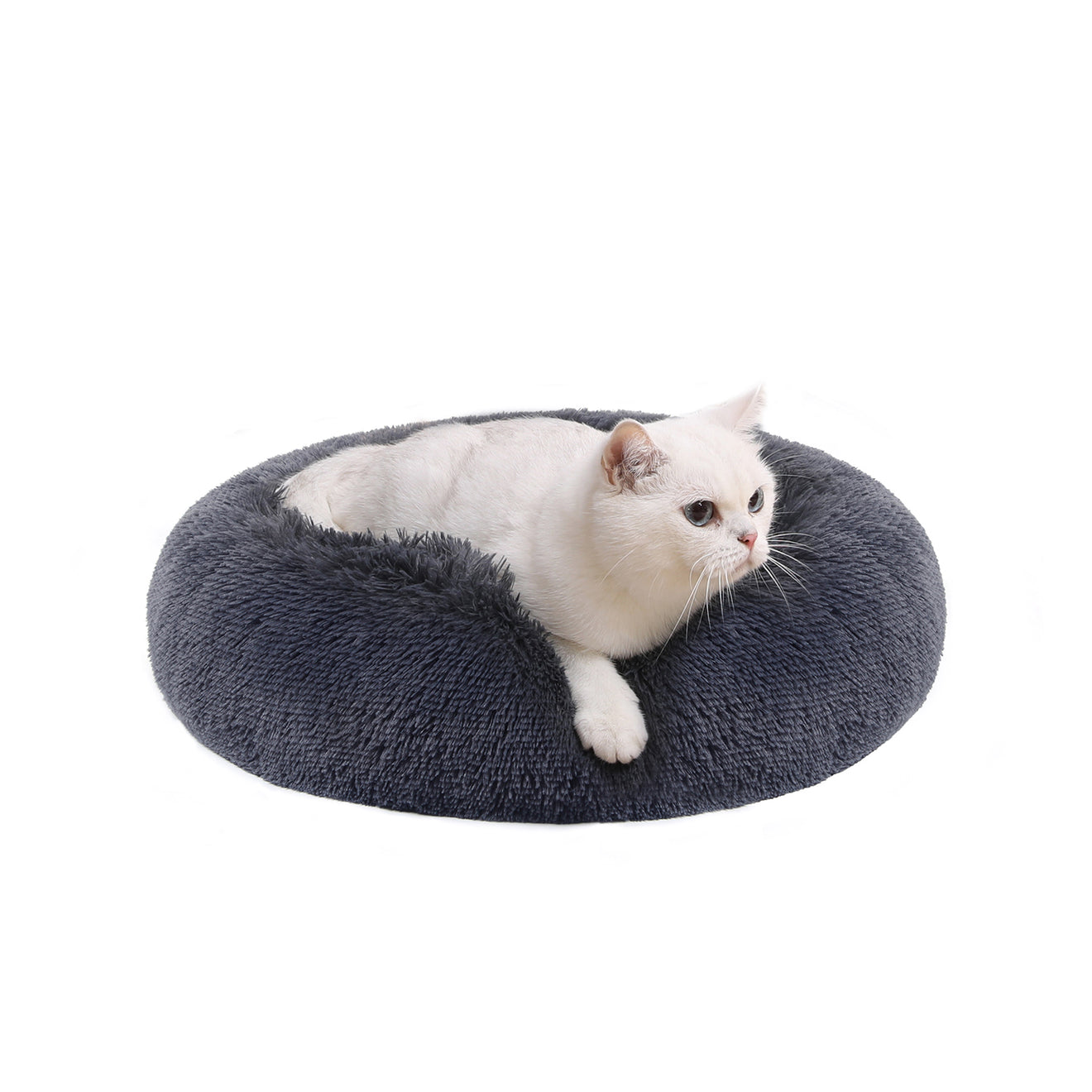 Klein Rond Hondenbedje 50 cm - Uitneembaar Kussen - Voor Puppy's En Katten