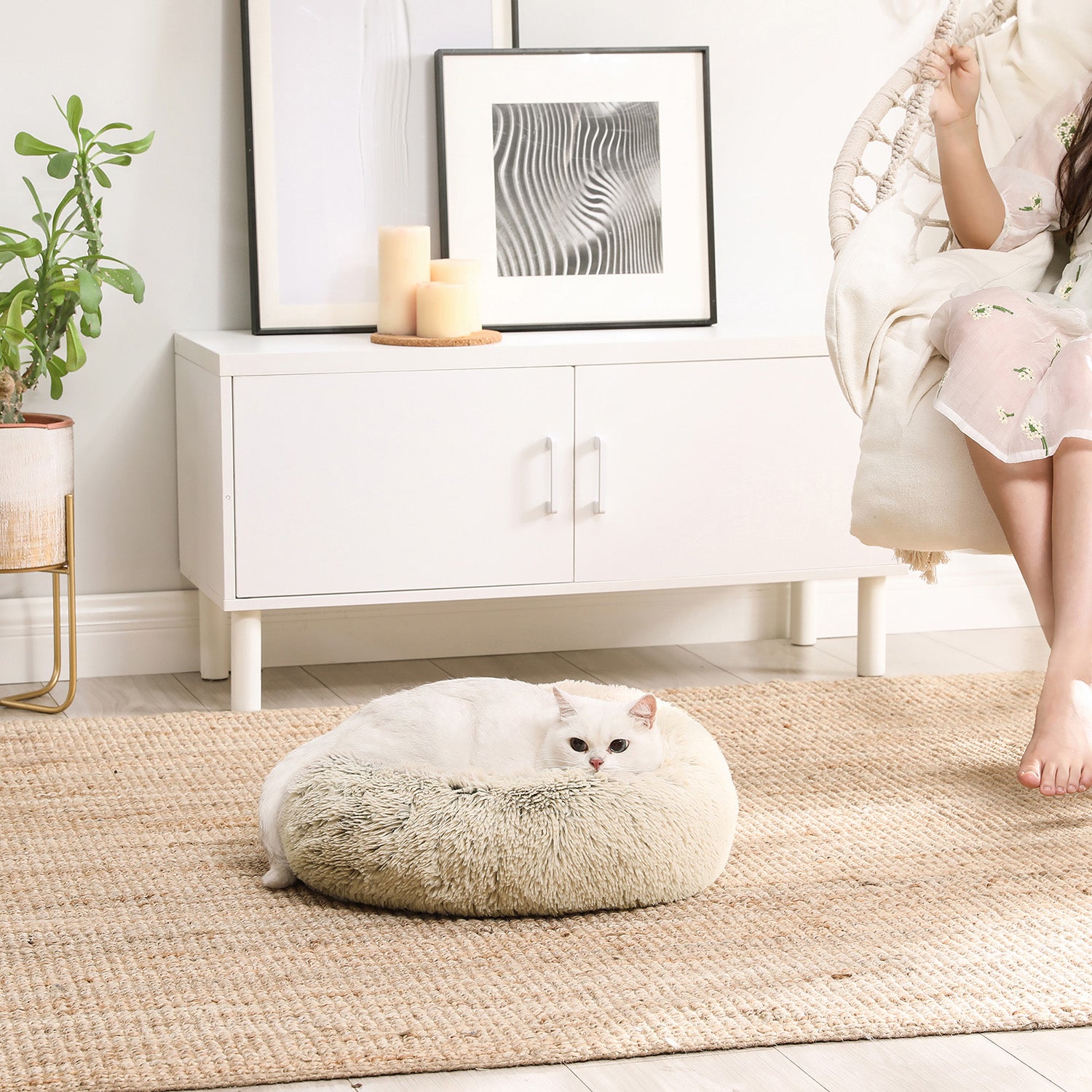 Klein Rond Hondenbedje 50 cm - Uitneembaar Kussen - Voor Puppy's En Katten