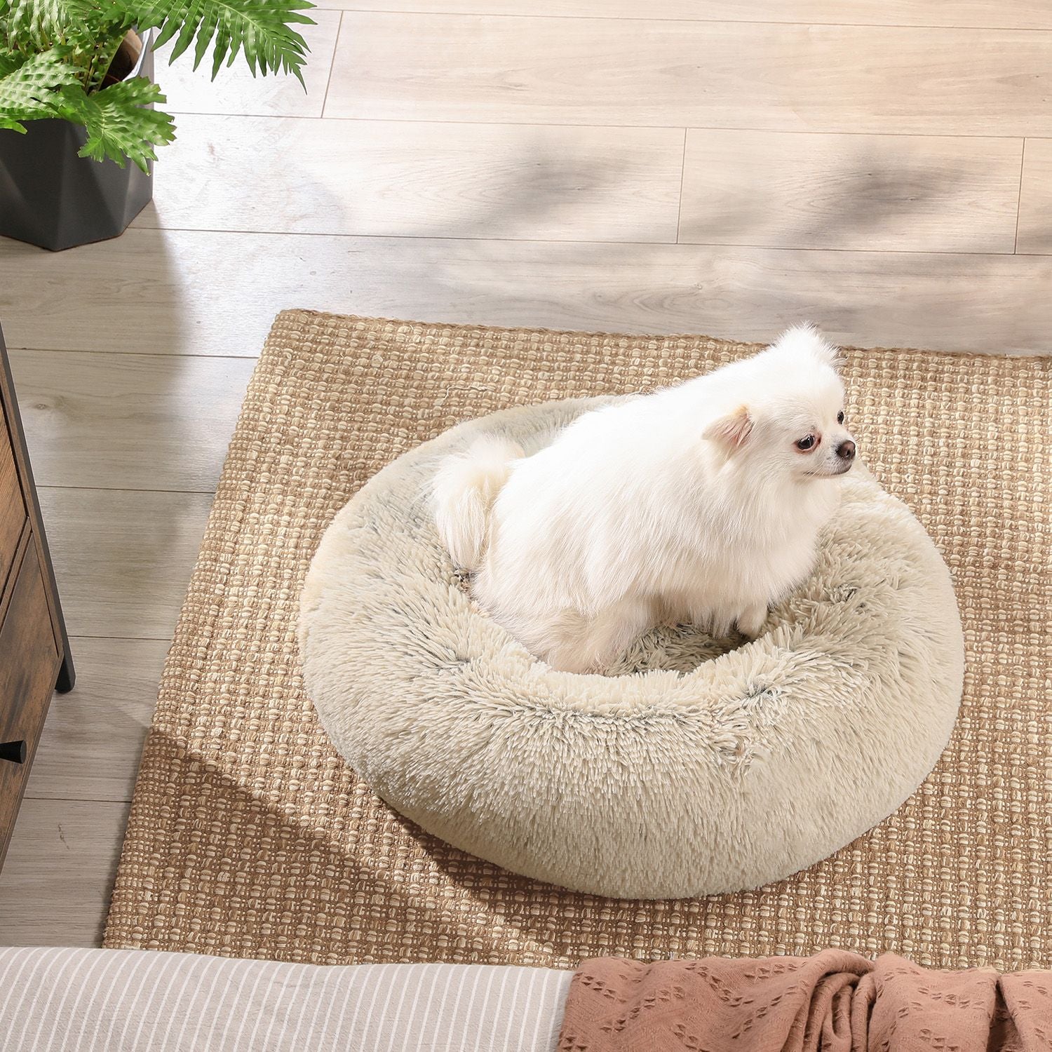Klein Rond Hondenbedje 50 cm - Uitneembaar Kussen - Voor Puppy's En Katten
