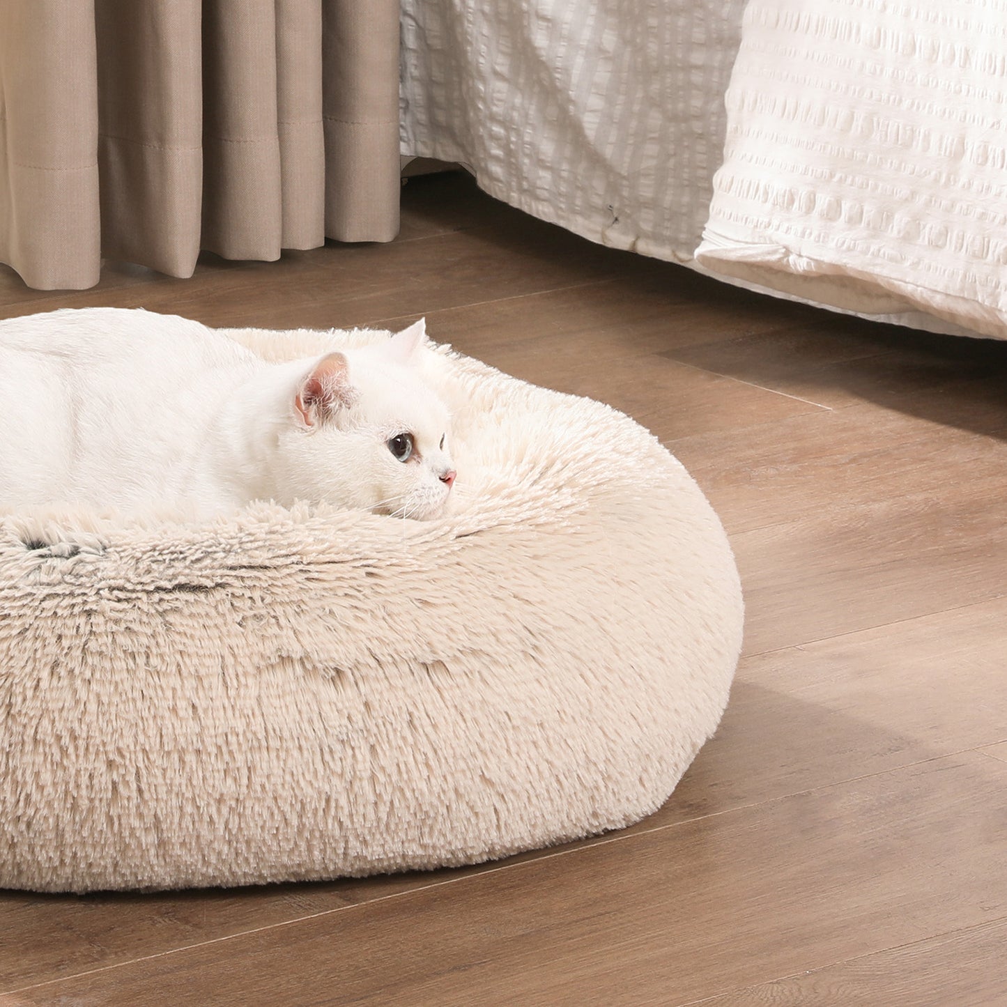Klein Rond Hondenbedje 50 cm - Uitneembaar Kussen - Voor Puppy's En Katten