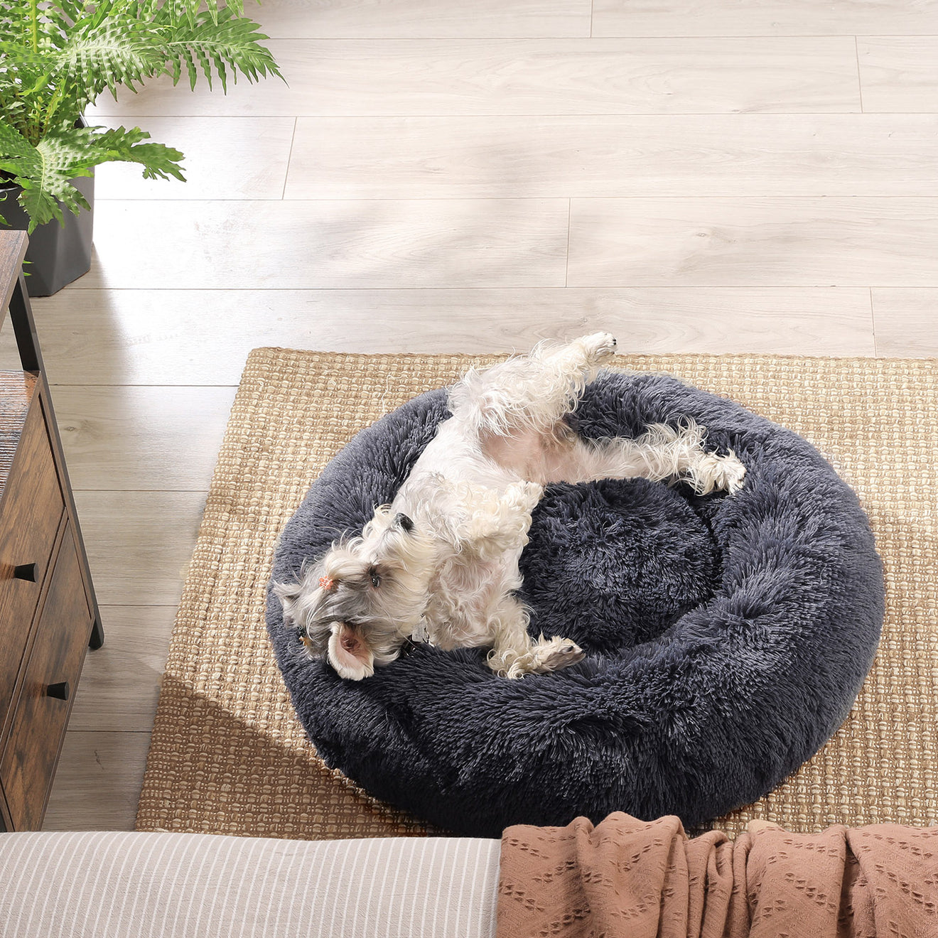 Donut Hondenbed 70 cm Met Uitneembaar Kussen - Kauwbestendig Pluche - In 6 Kleuren