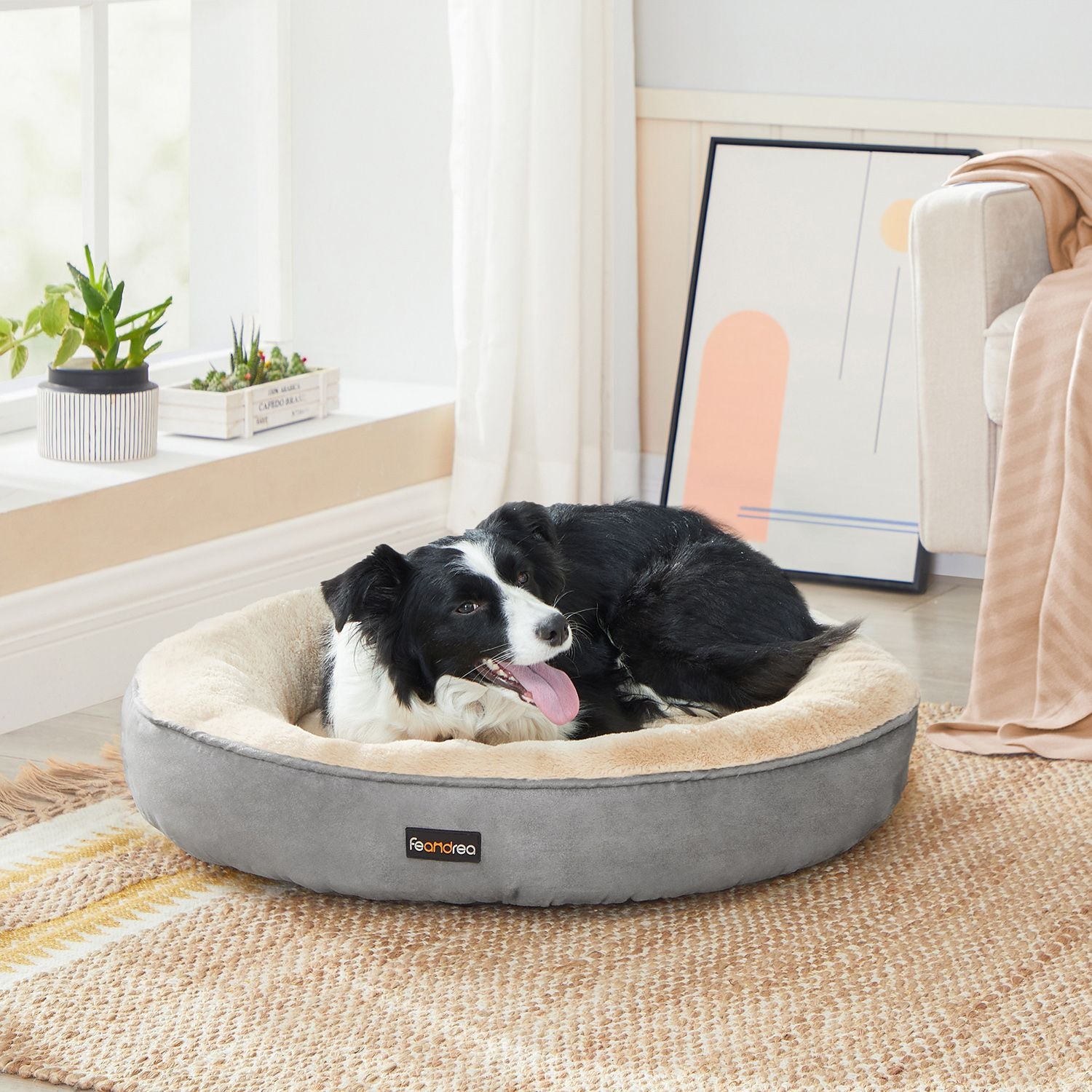 Pudding-Donut Hondenbed 70 cm - Extra Zachte Vulling - Antislip Noppen