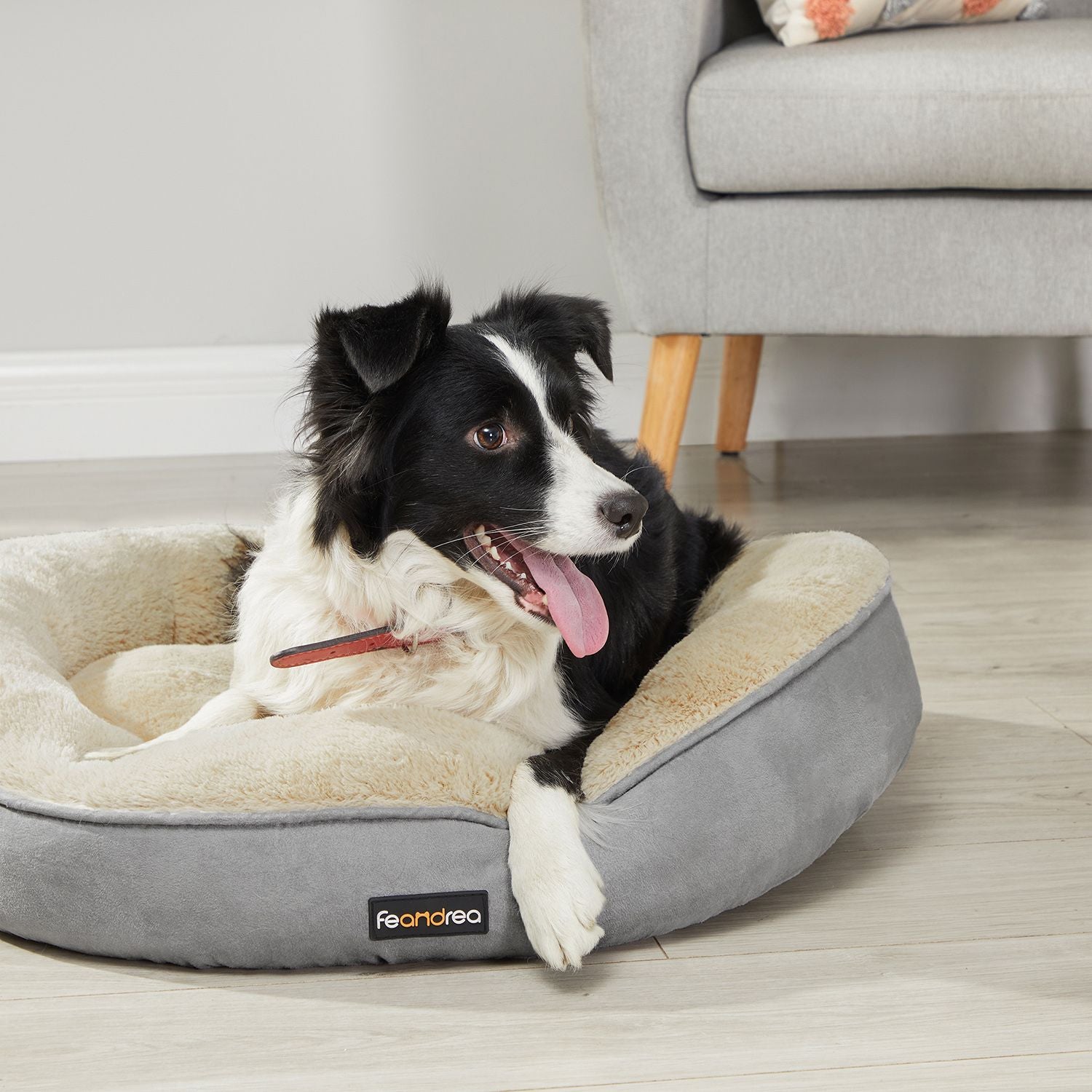 Pudding-Donut Hondenbed 70 cm - Extra Zachte Vulling - Antislip Noppen