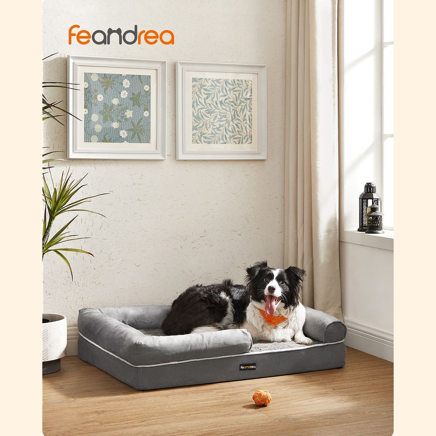 Orthopedisch Hondenbed L Met Waterafstotende Toplaag - Wasbare Hoes - Schuimkern