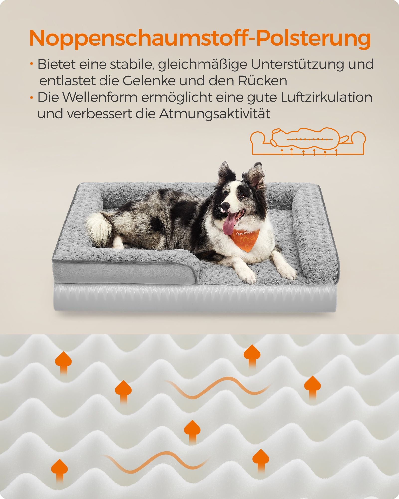 Orthopedisch Hondenbed L Met Rozenpluche - Noppenschuim - Verhoogde Randen