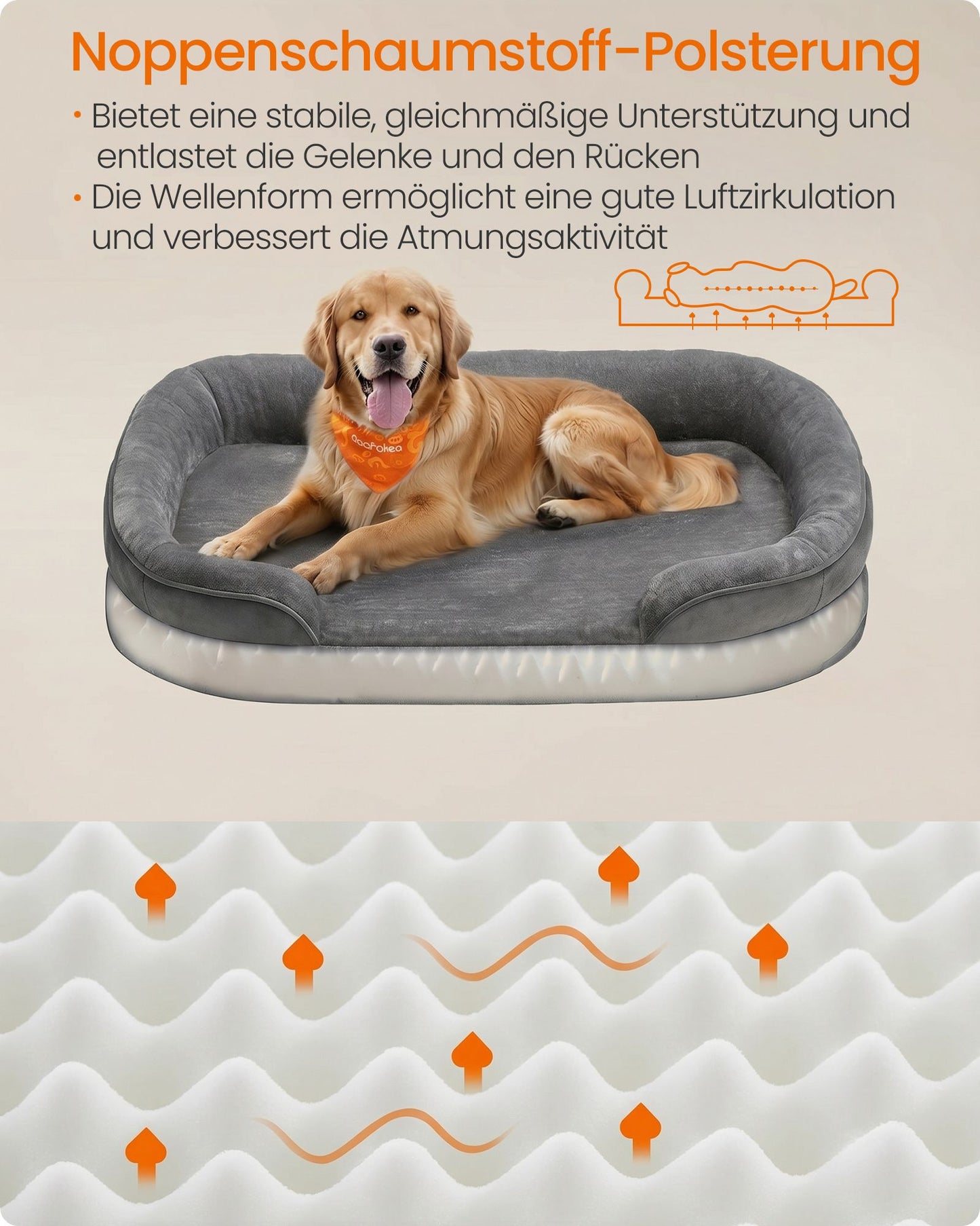 XL Hondenkussen Met Noppenschuim - Verhoogde Rand - Voor Grote Honden