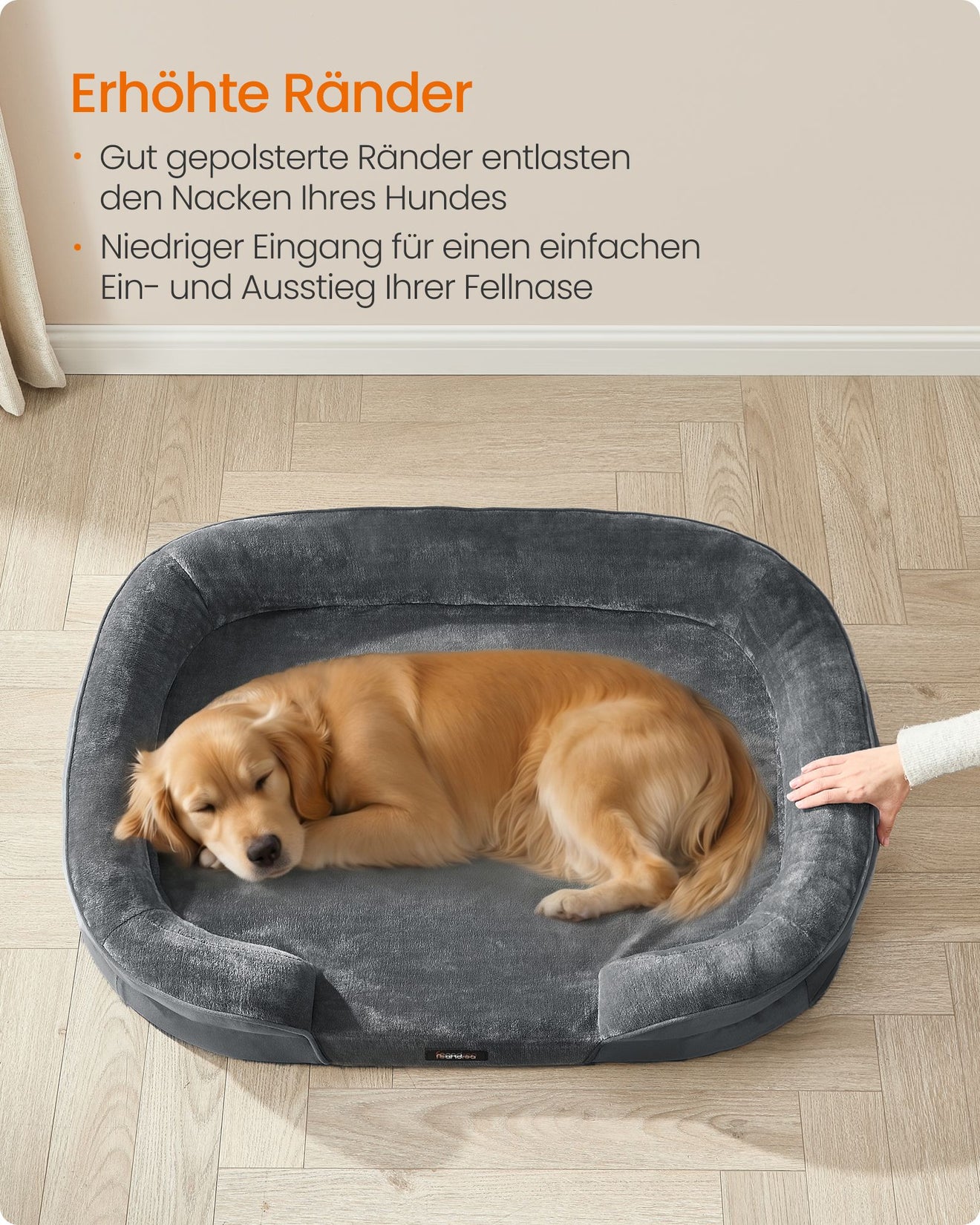 XL Hondenkussen Met Noppenschuim - Verhoogde Rand - Voor Grote Honden