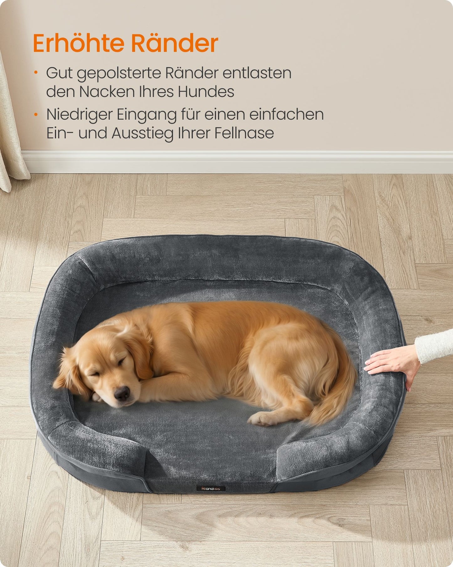 XL Hondenkussen Met Noppenschuim - Verhoogde Rand - Voor Grote Honden