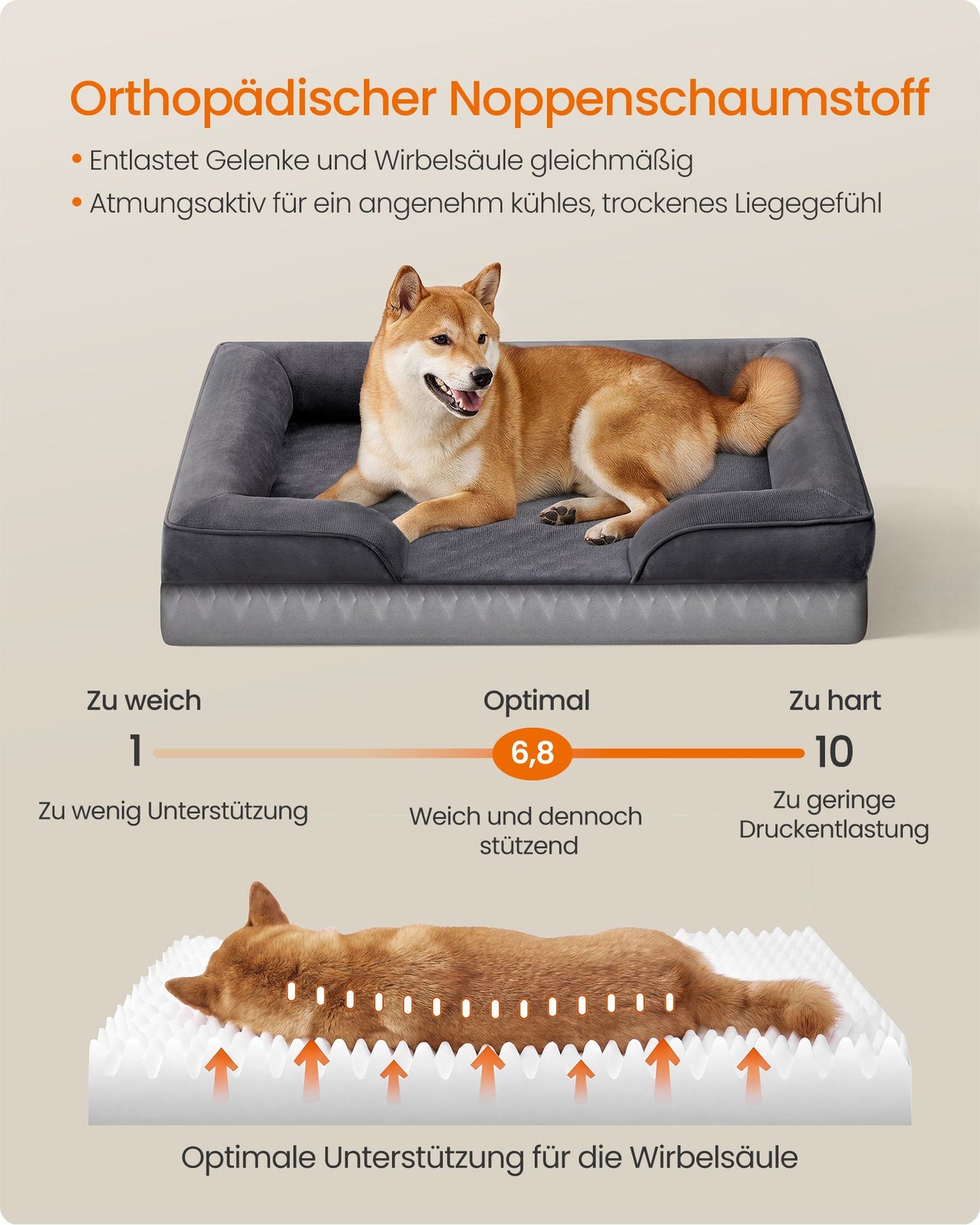 Orthopedische Hondenmand Voor Middelgrote Honden - Noppenschuim - Verhoogde Rand