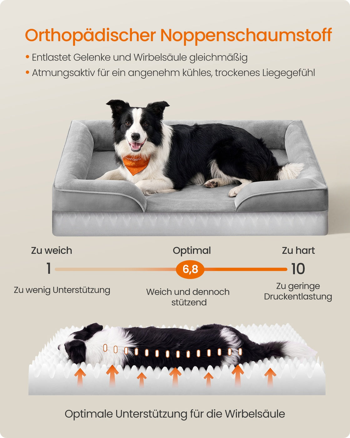 Orthopedische Hondenmand Voor Grote Honden - Noppenschuim - Wasbaar En Antislip