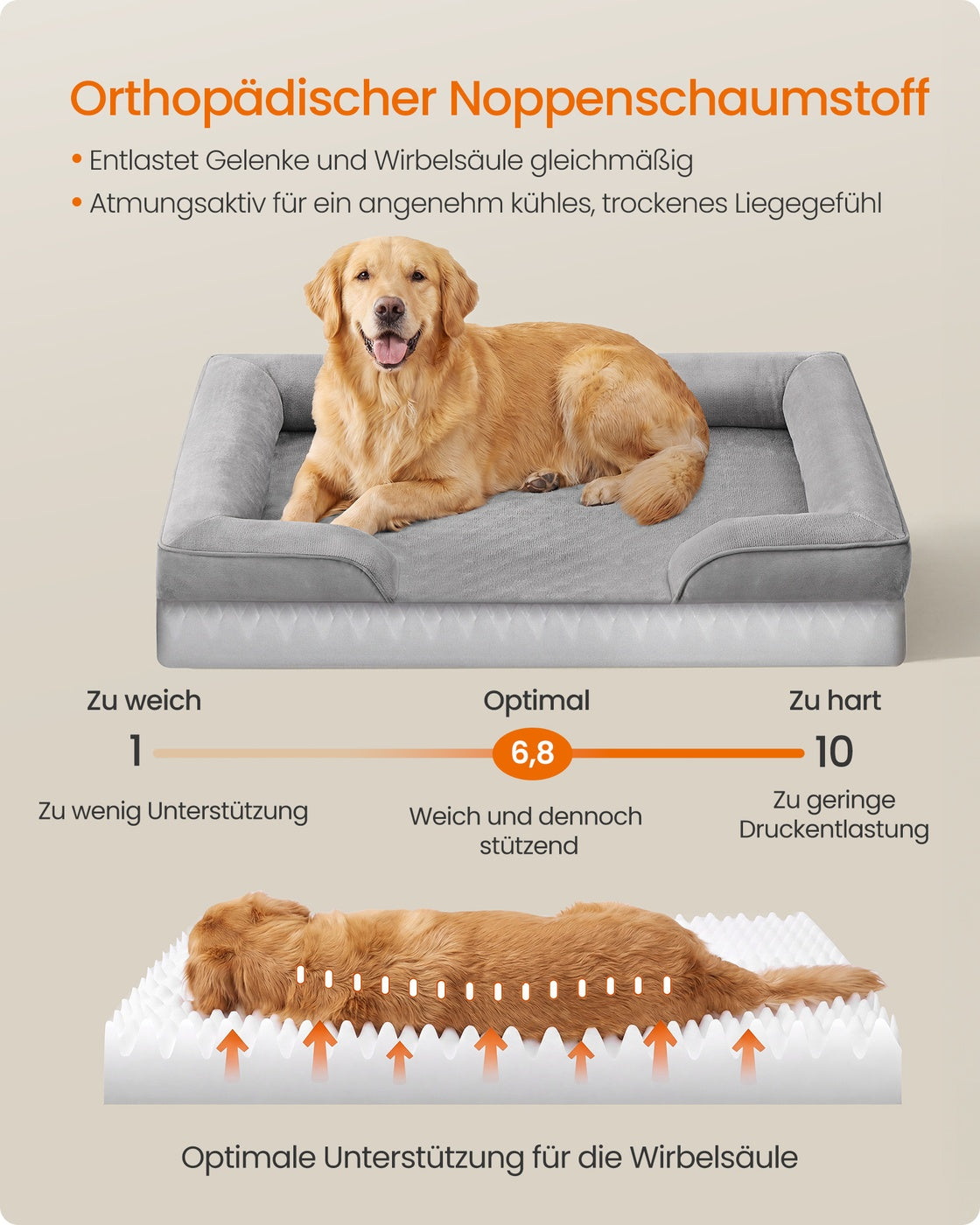 Orthopedische Hondenmand Voor Extra Grote Honden - Noppenschuim - Verhoogde Rand