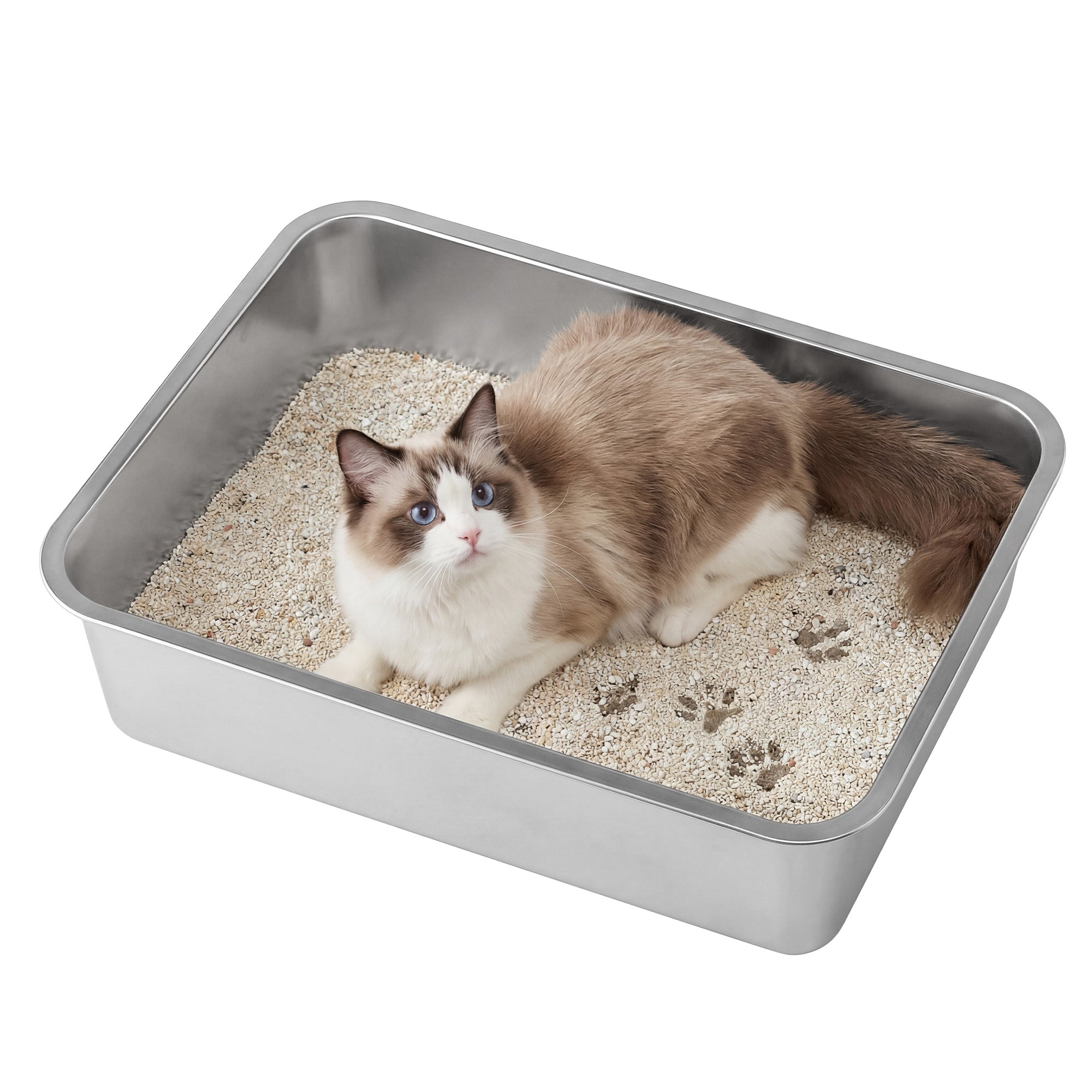 RVS Kattenbak Open Model - Inclusief Schep - Geurneutraal En Onverwoestbaar