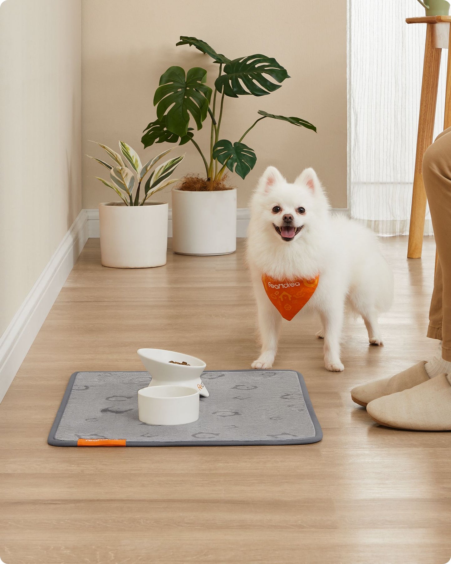 Wasbare Puppy Trainingsmatten S Set Van 2 - Vierlaags Absorberend - Antislip