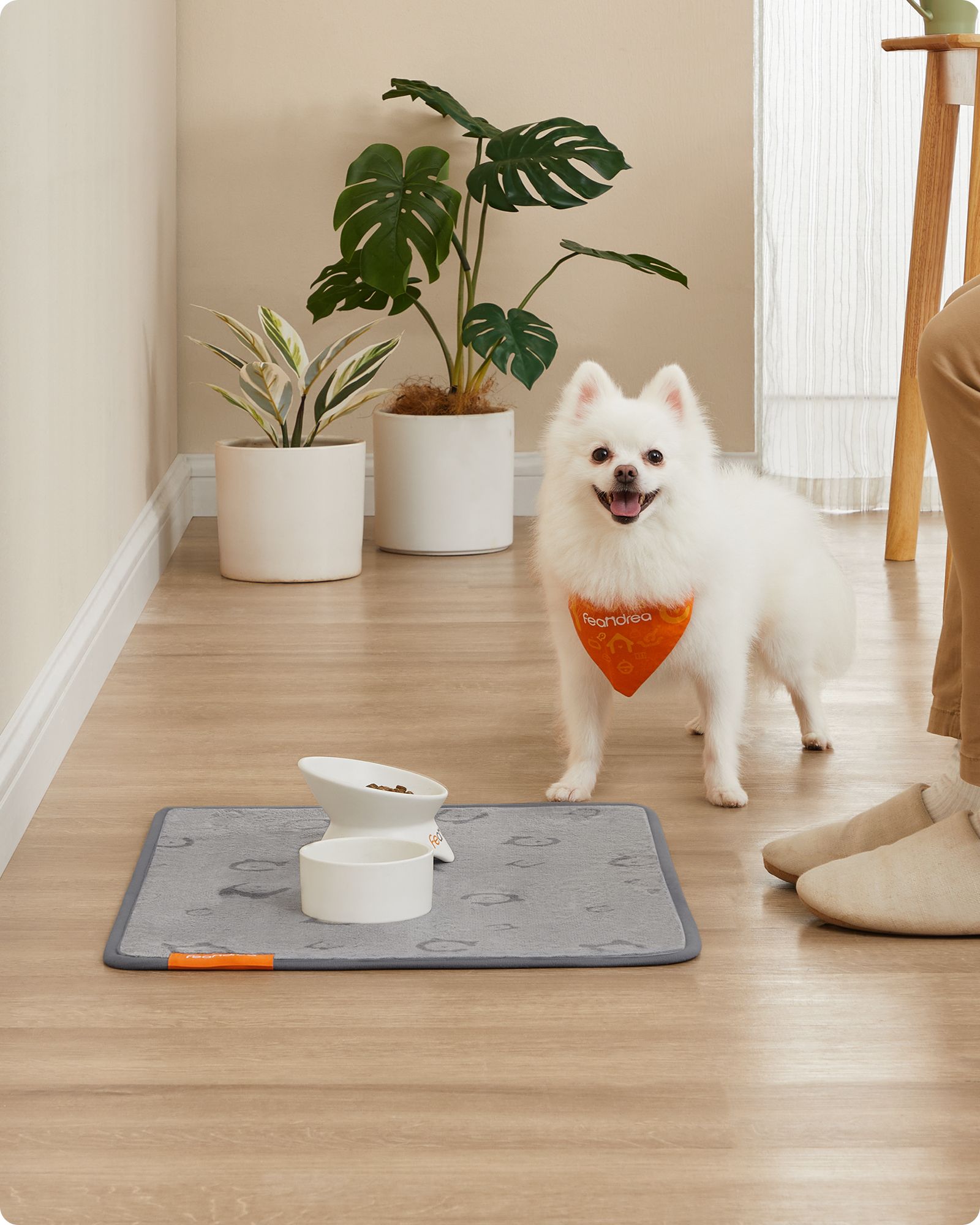 Wasbare Puppy Trainingsmatten S Set Van 2 - Vierlaags Absorberend - Antislip