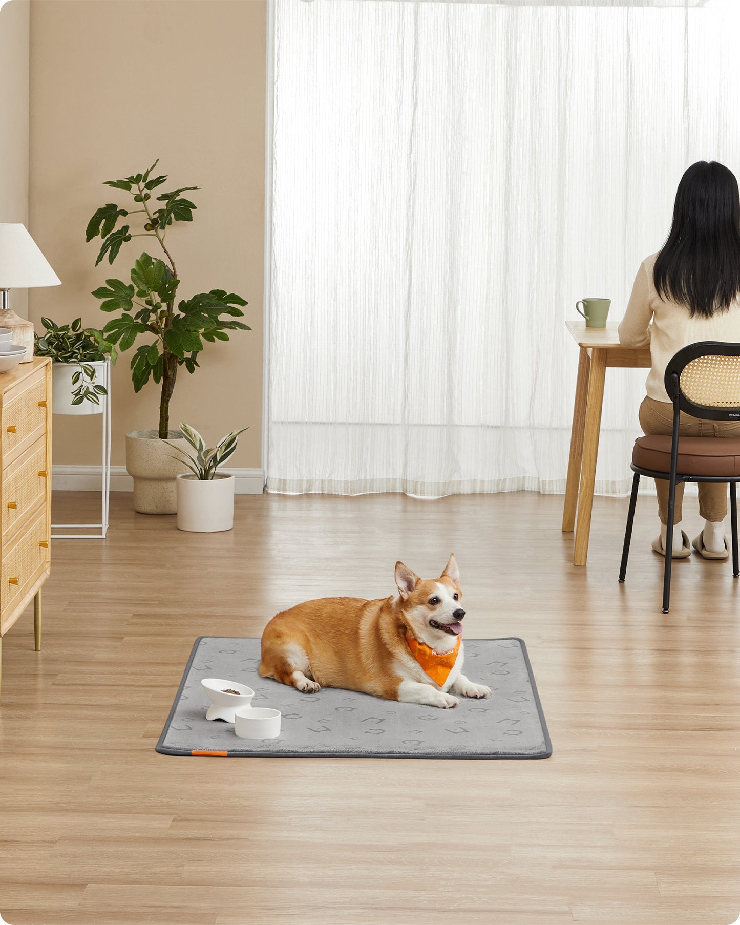 Wasbare Puppy Trainingsmatten L Set Van 2 - Maximale Dekking - Vierlaags Waterdicht
