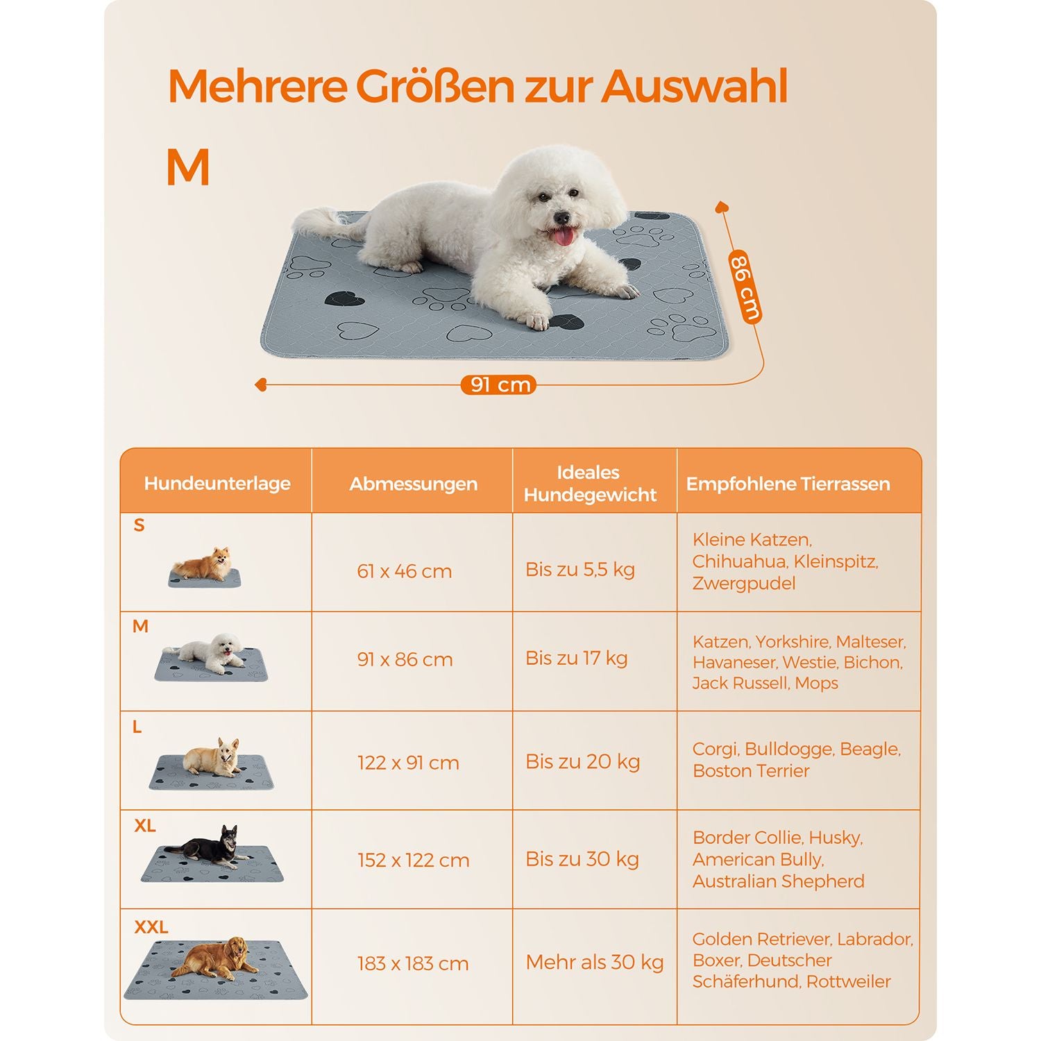 Antislip Wasbare Trainingsmatten M Set Van 2 - Sneldrogend - Herbruikbaar