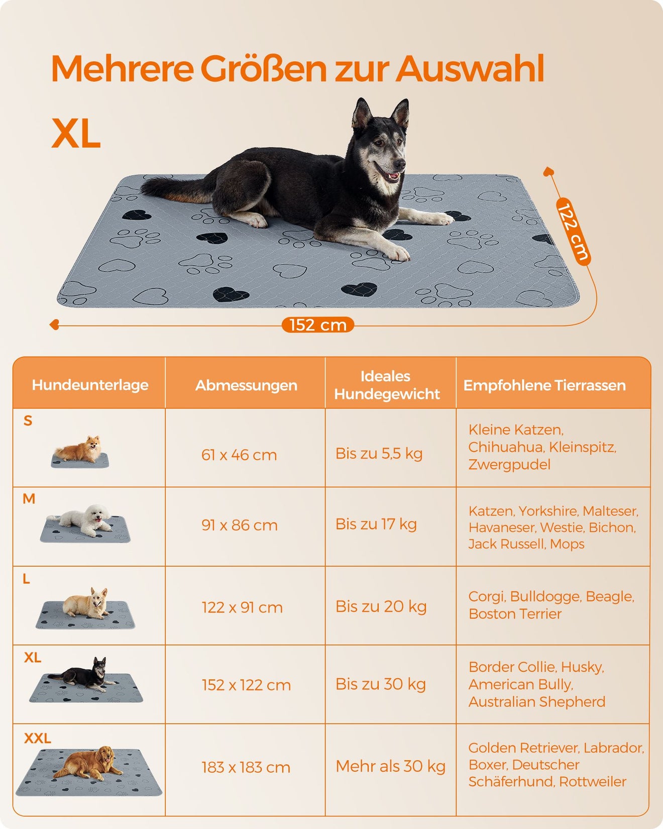 Wasbare Trainingsmatten XL Set Van 2 - Extra Groot Oppervlak - Waterdicht Met Antislip