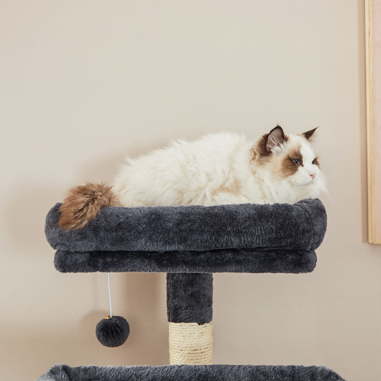 Krabpaal Met Ligmulde En Verstevigde Basis - Vol Verrassingen - Voor Energieke Katten
