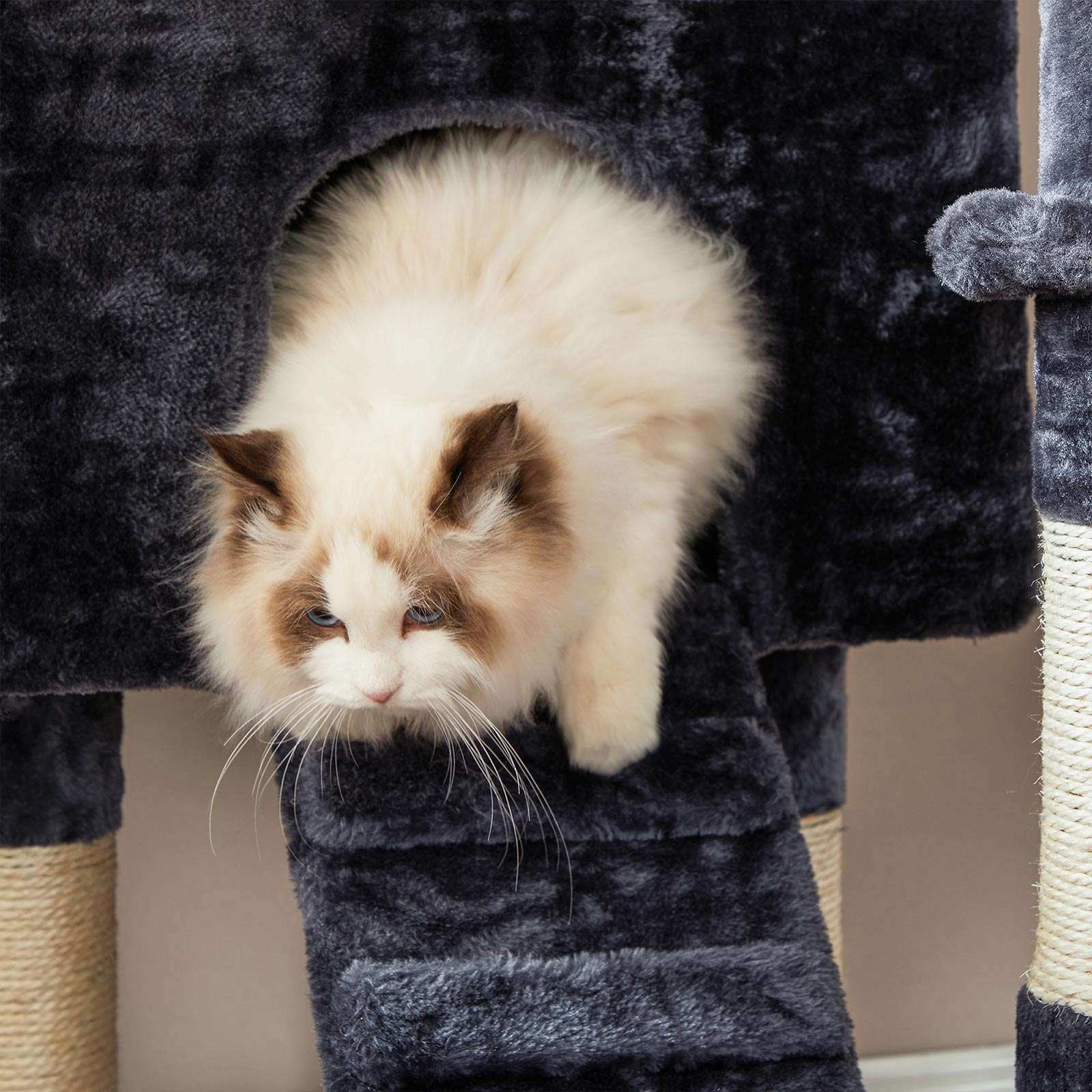 Krabpaal Met Ligmulde En Verstevigde Basis - Vol Verrassingen - Voor Energieke Katten
