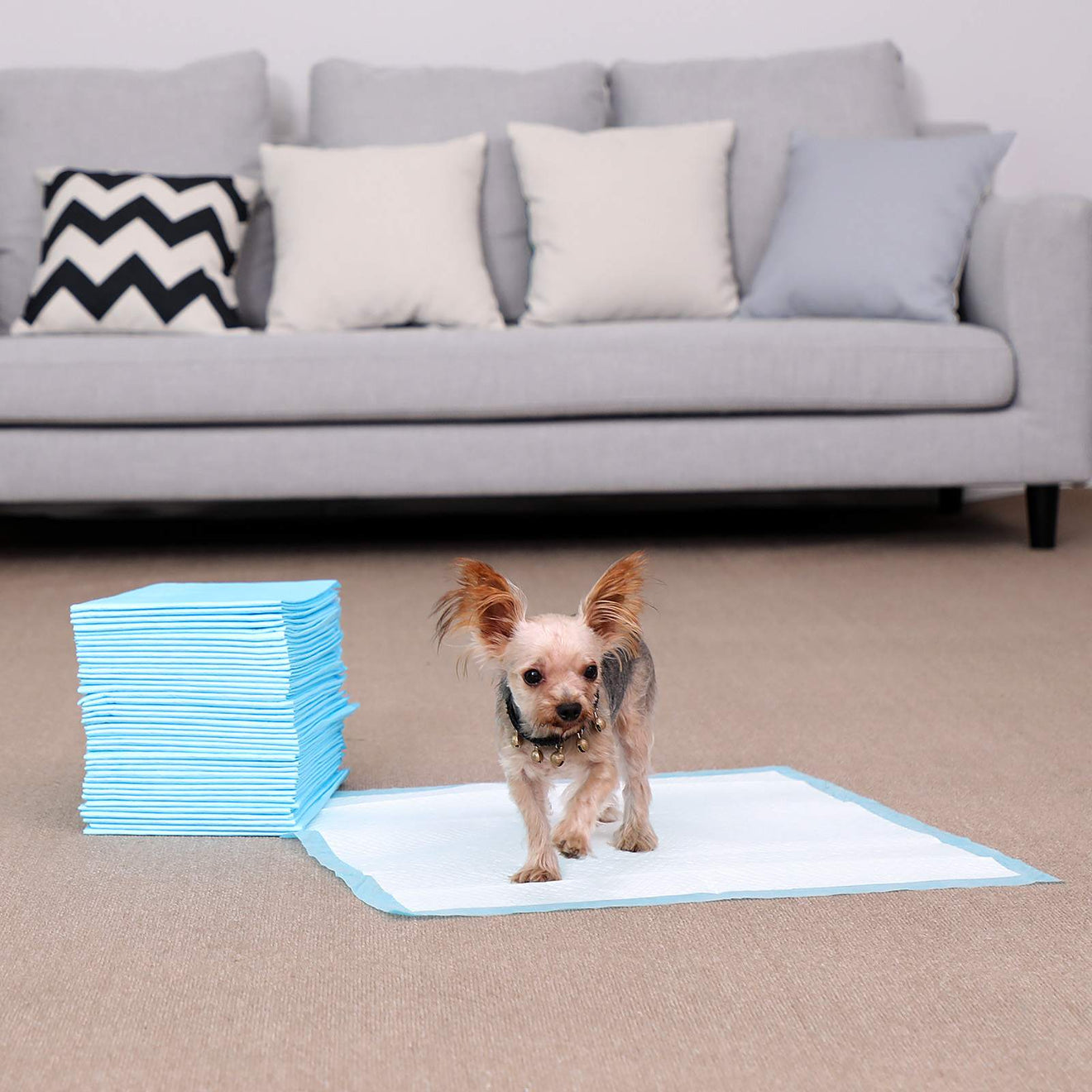 Wegwerp Puppy Trainingspads Superabsorberend - Sneldrogende Toplaag - Lekvrij