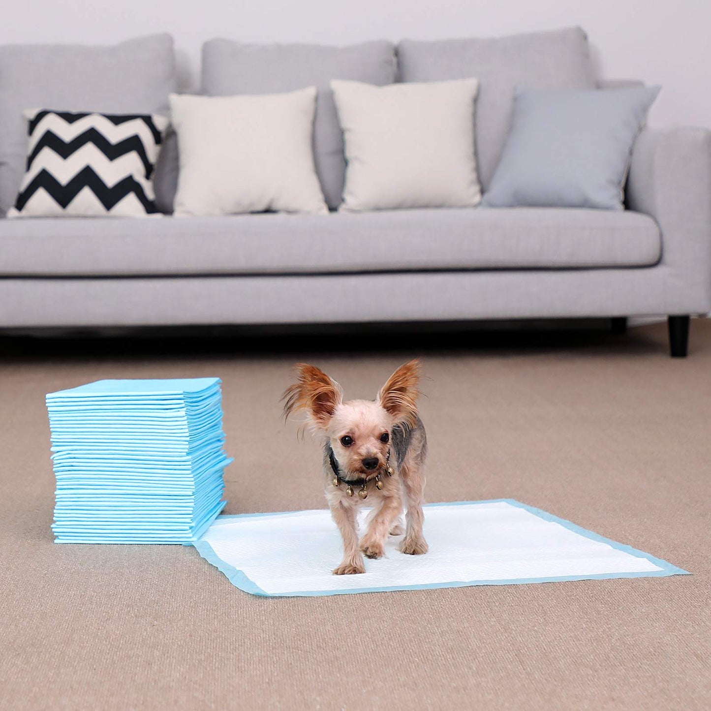 Wegwerp Puppy Trainingspads Superabsorberend - Sneldrogende Toplaag - Lekvrij