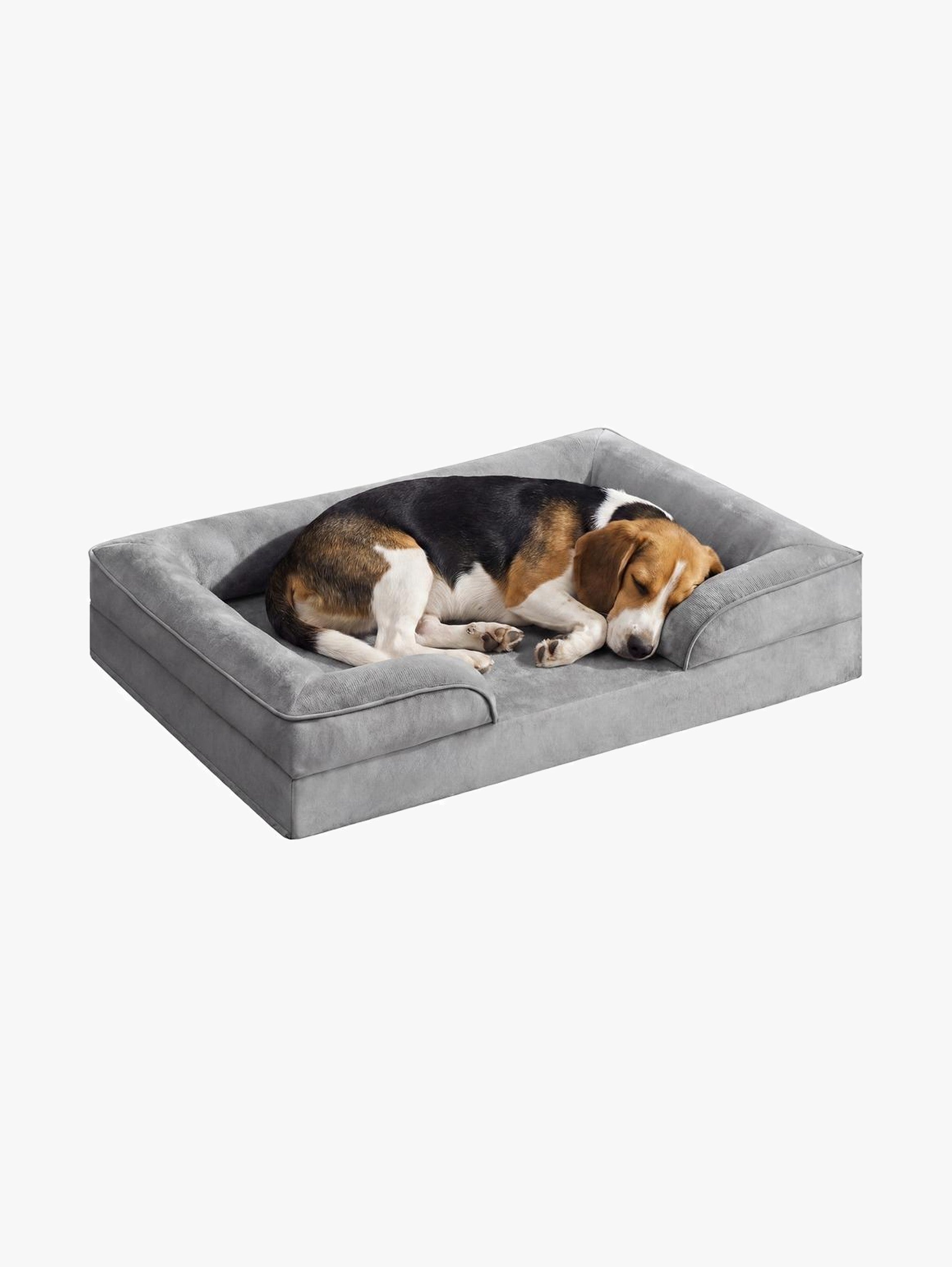 Orthopedische Hondenmand Voor Middelgrote Honden - Noppenschuim - Verhoogde Rand