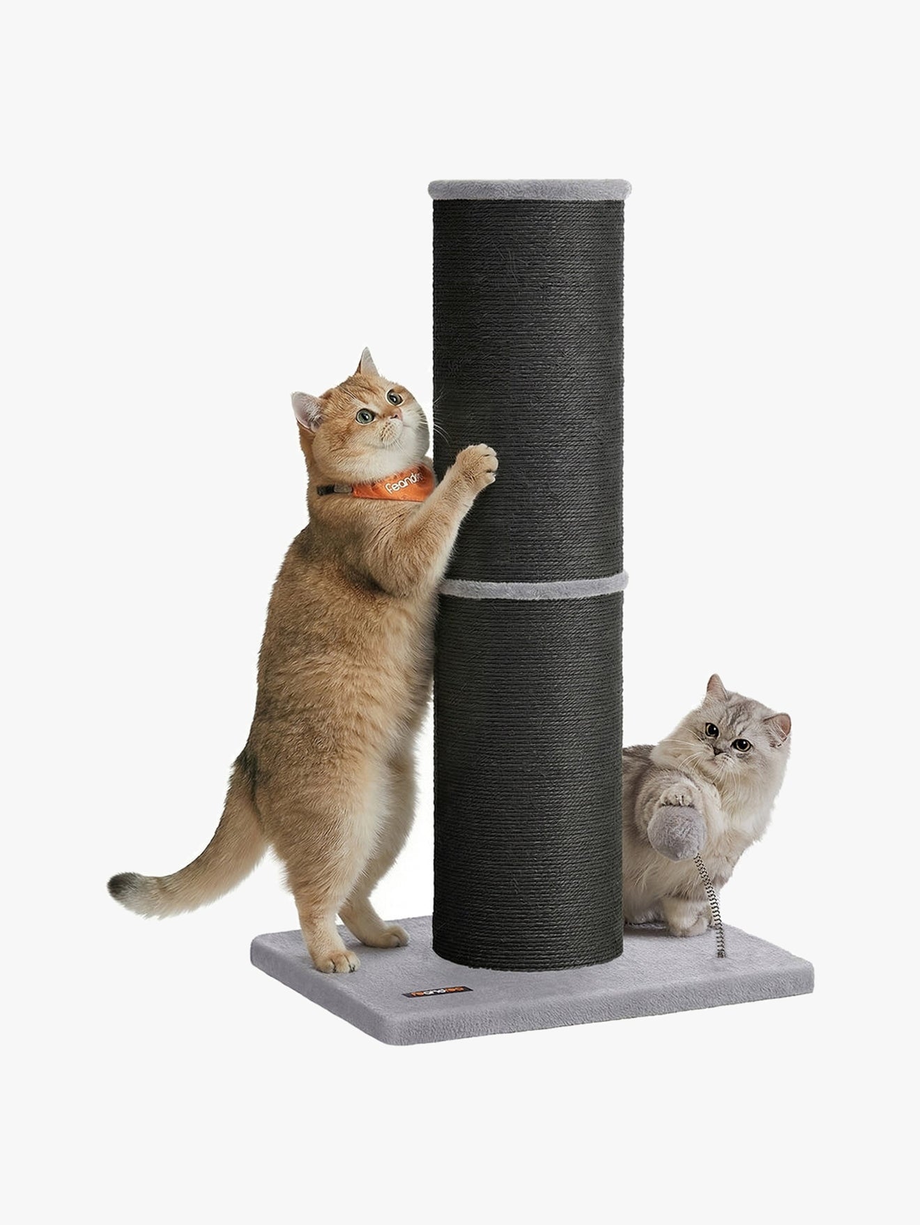 XXL Krabzuil Met Extra Dikke Sisalstam - Voor Grote Katten - Stabiele Voet