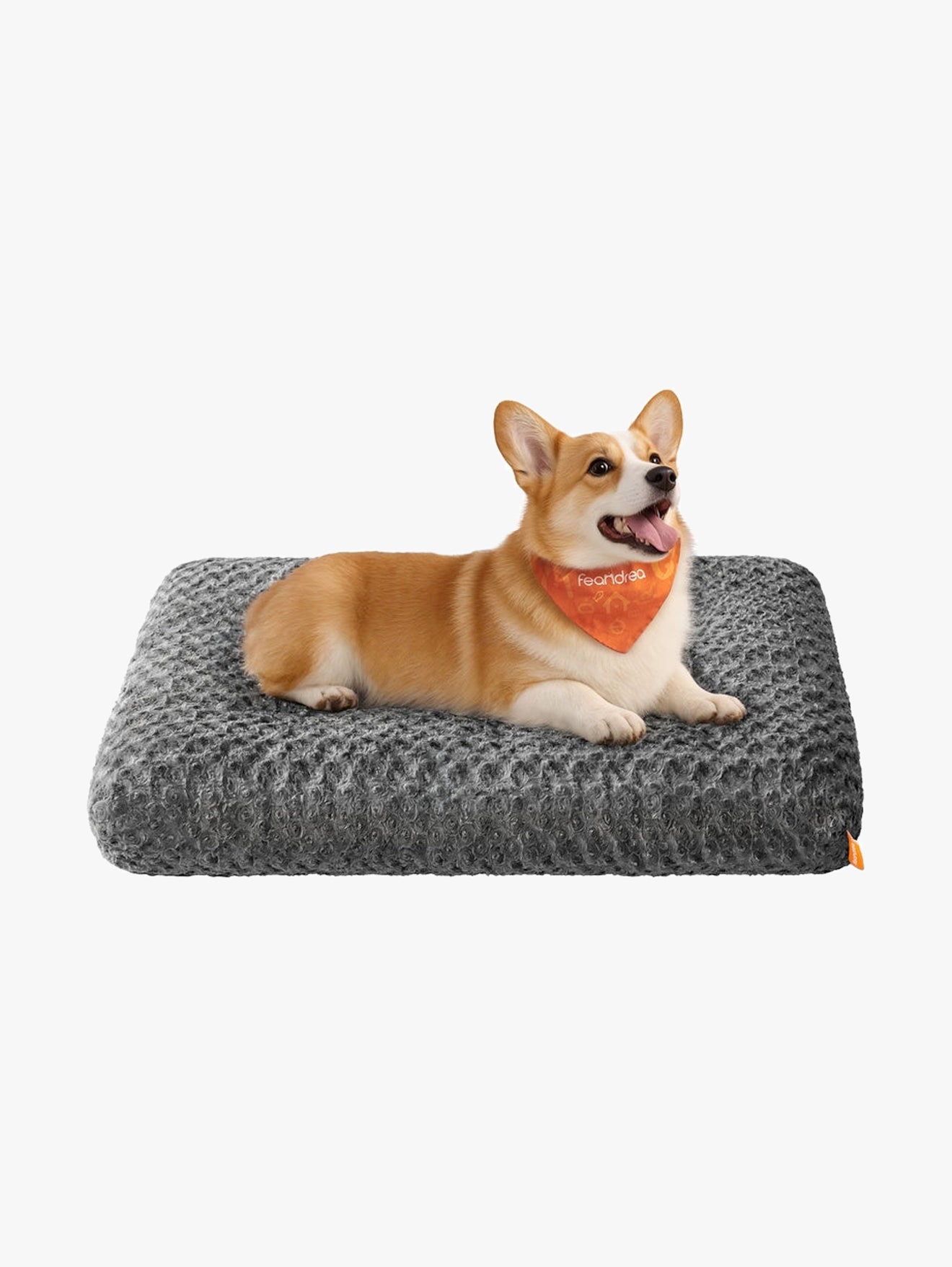 Hondenbed Met Rozenpatroon Pluche - Zachte Vulling - Maat M