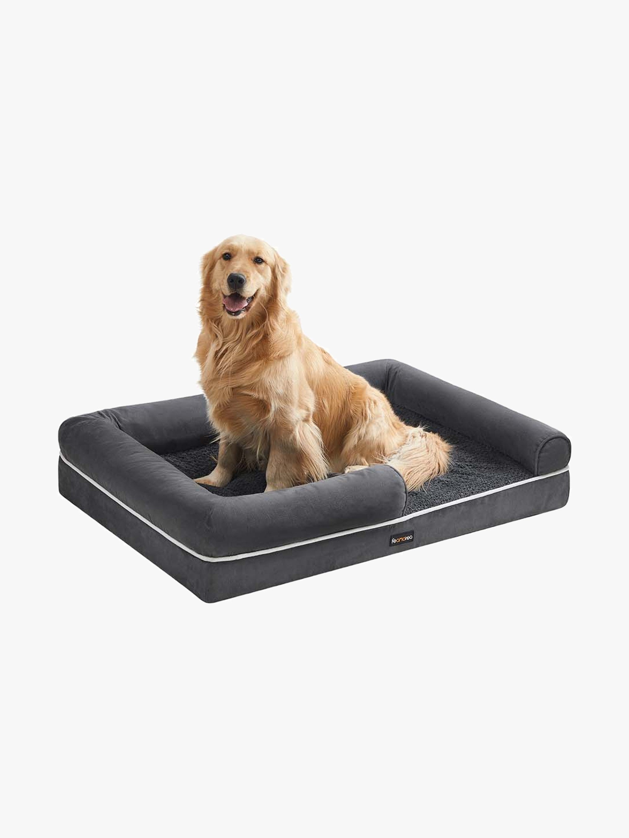 Orthopedisch Hondenbed Met Waterafstotende Toplaag - Schuimkern - Verhoogde Randen