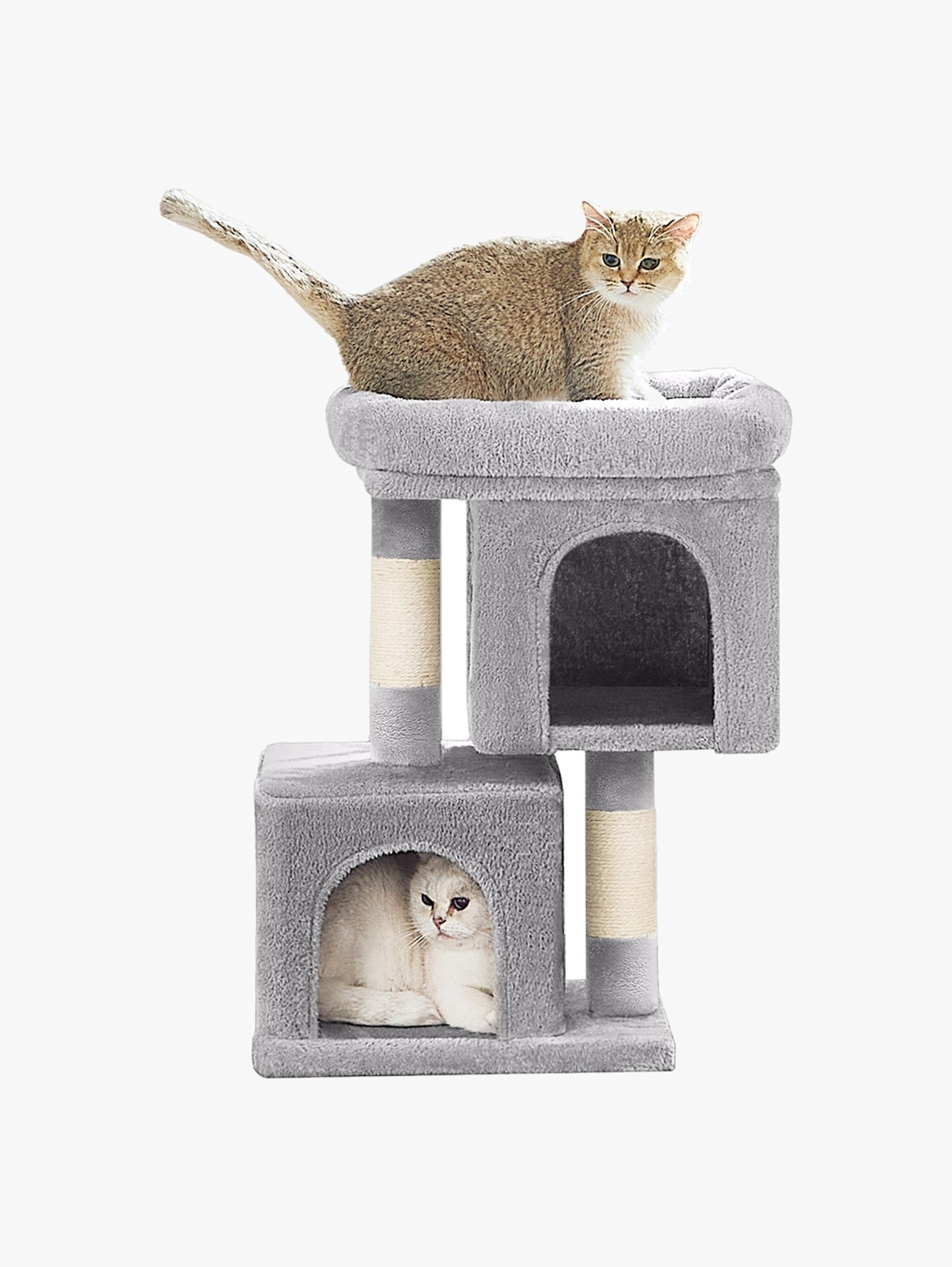 Kleine Krabpaal Met Kattenhol - Laag Instapmodel - Voor Kittens En Senioren