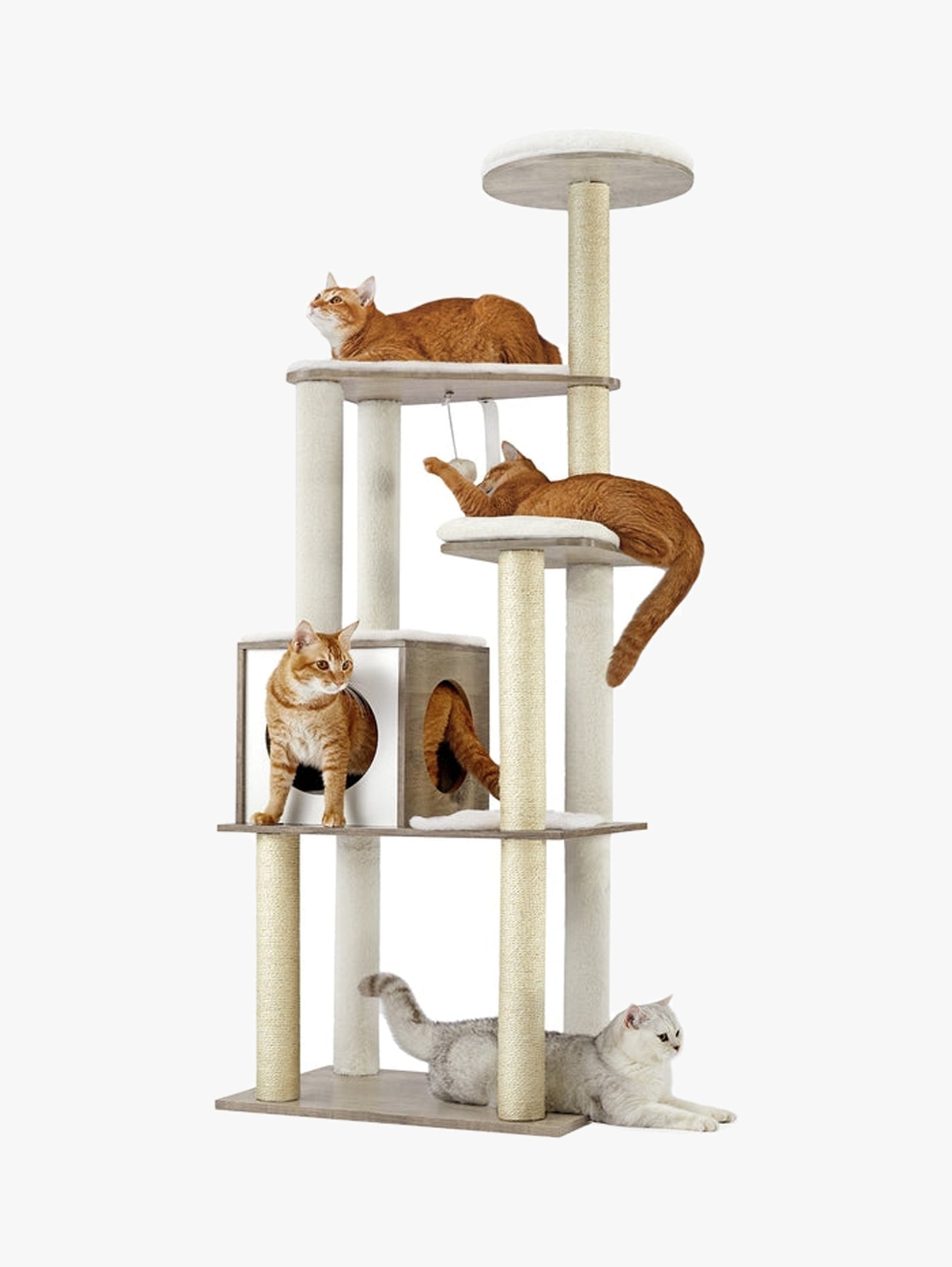 Hoge Kattenboom Met Krabzuilen - Gefineerd Oppervlak - Afneembare Wasbare Kussens