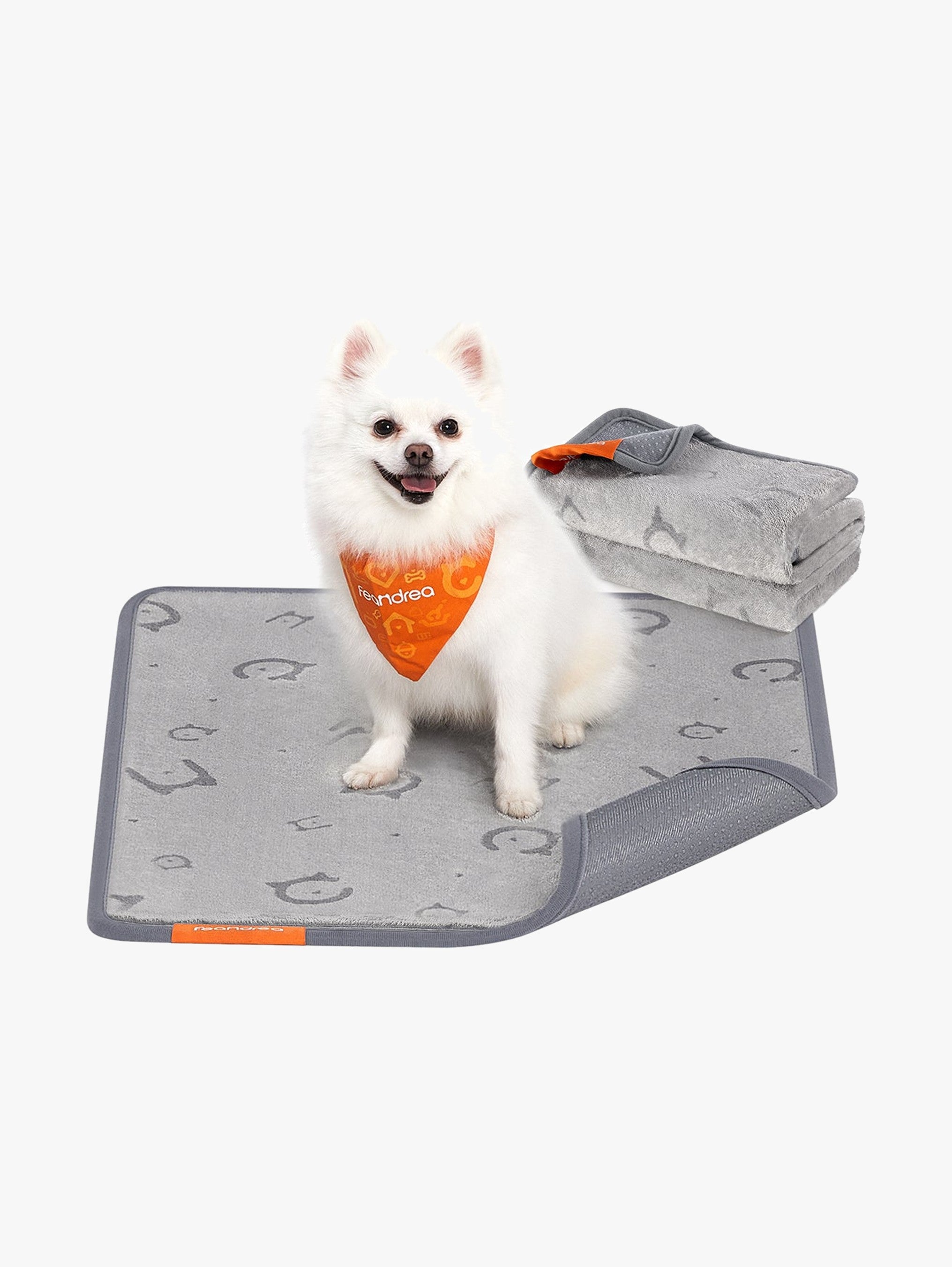 Wasbare Puppy Trainingsmatten S Set Van 2 - Vierlaags Absorberend - Antislip
