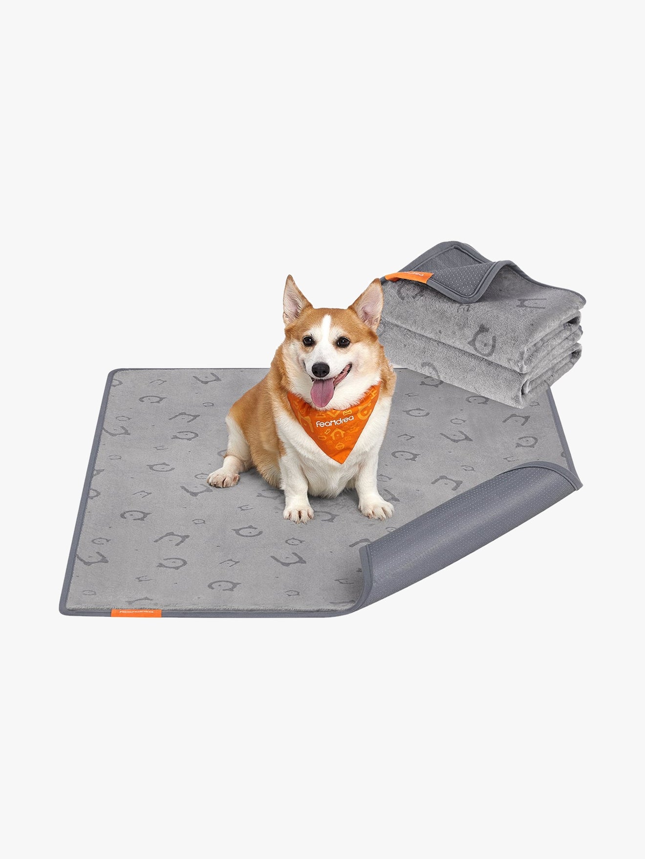 Wasbare Puppy Trainingsmatten L Set Van 2 - Maximale Dekking - Vierlaags Waterdicht